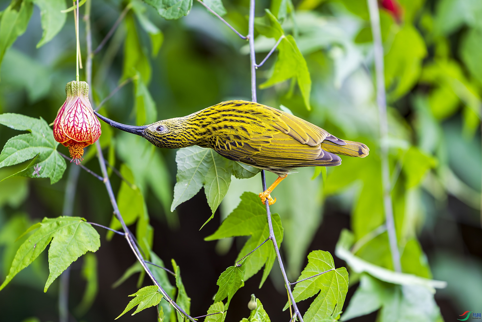 _DSC0205 ���� 2.jpg