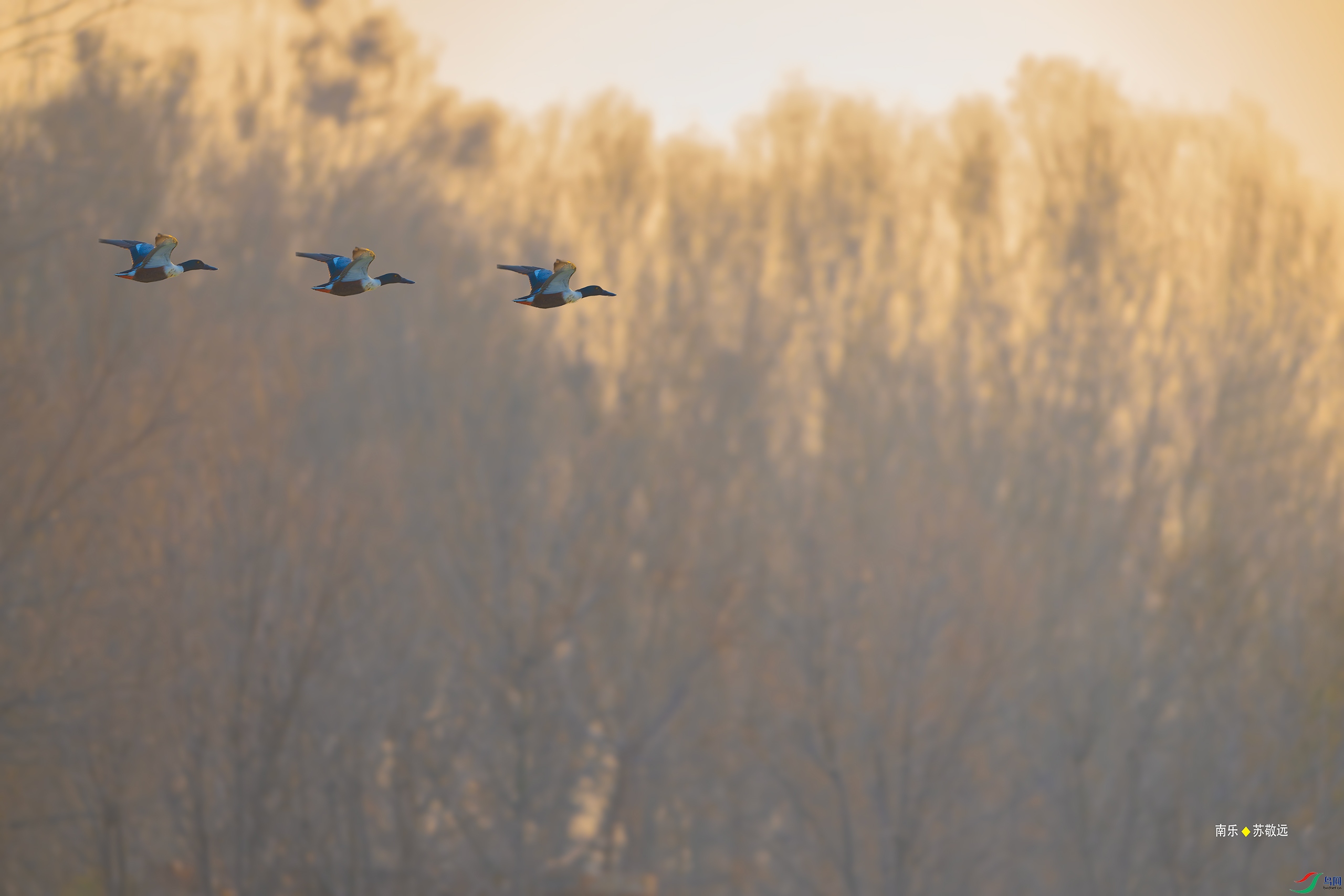 _DSC1272-DxO_С.jpg