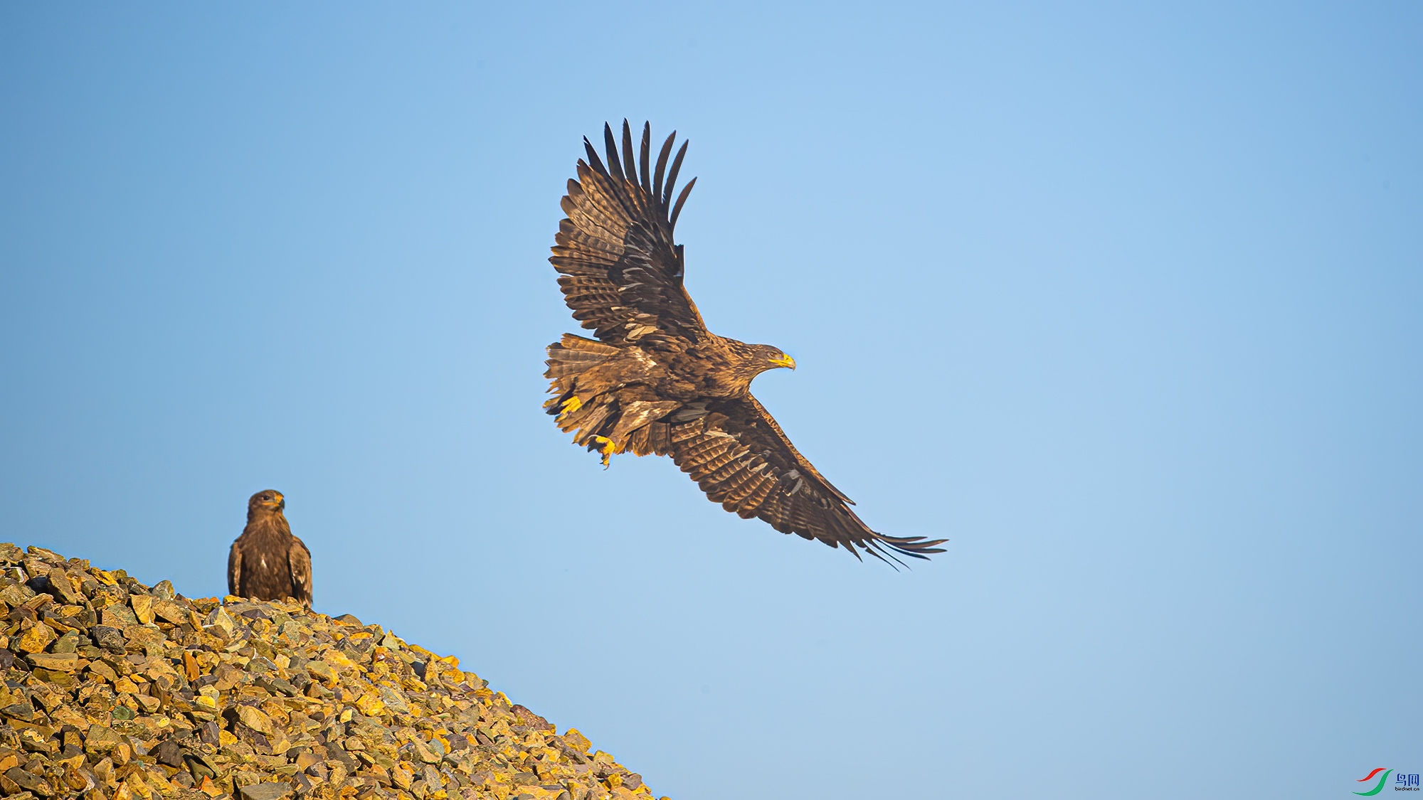 ��ԭ��-03-���Ŀ�-DWK_5966 ���� 2.jpg