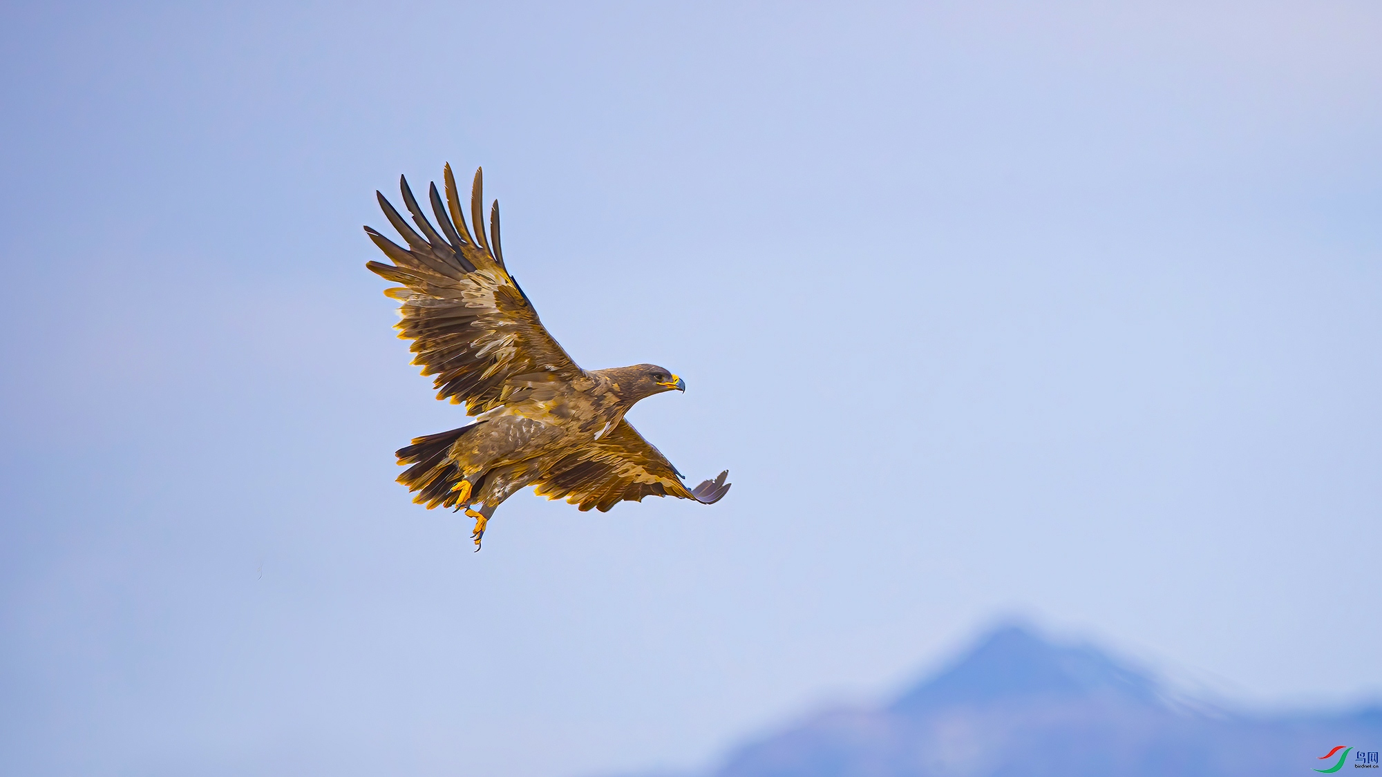 ��ԭ��-04-���Ŀ�-DWK_9315 ����.jpg