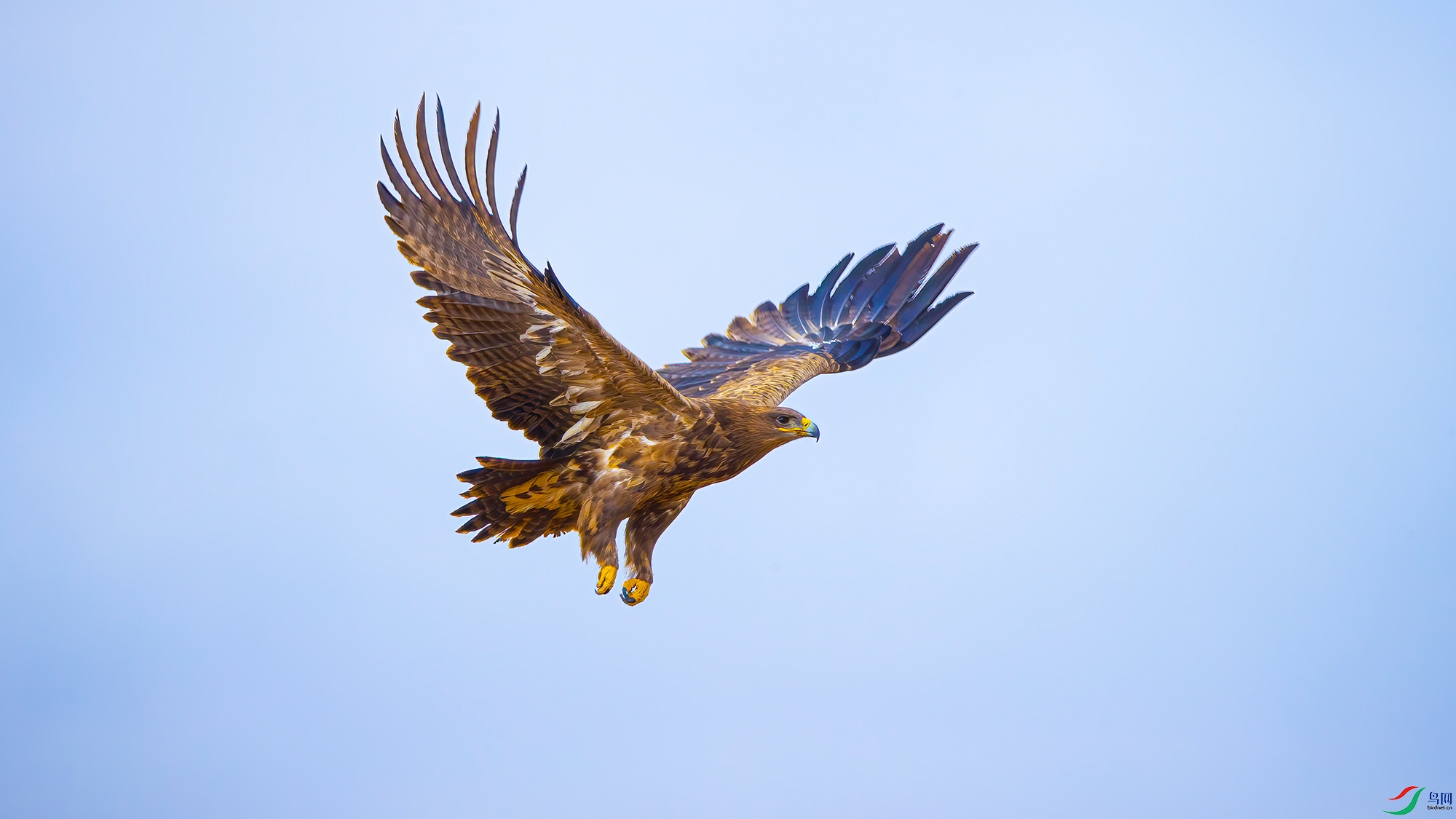 ��ԭ��-05-���Ŀ�-DWK_9451 ���� 2.jpg