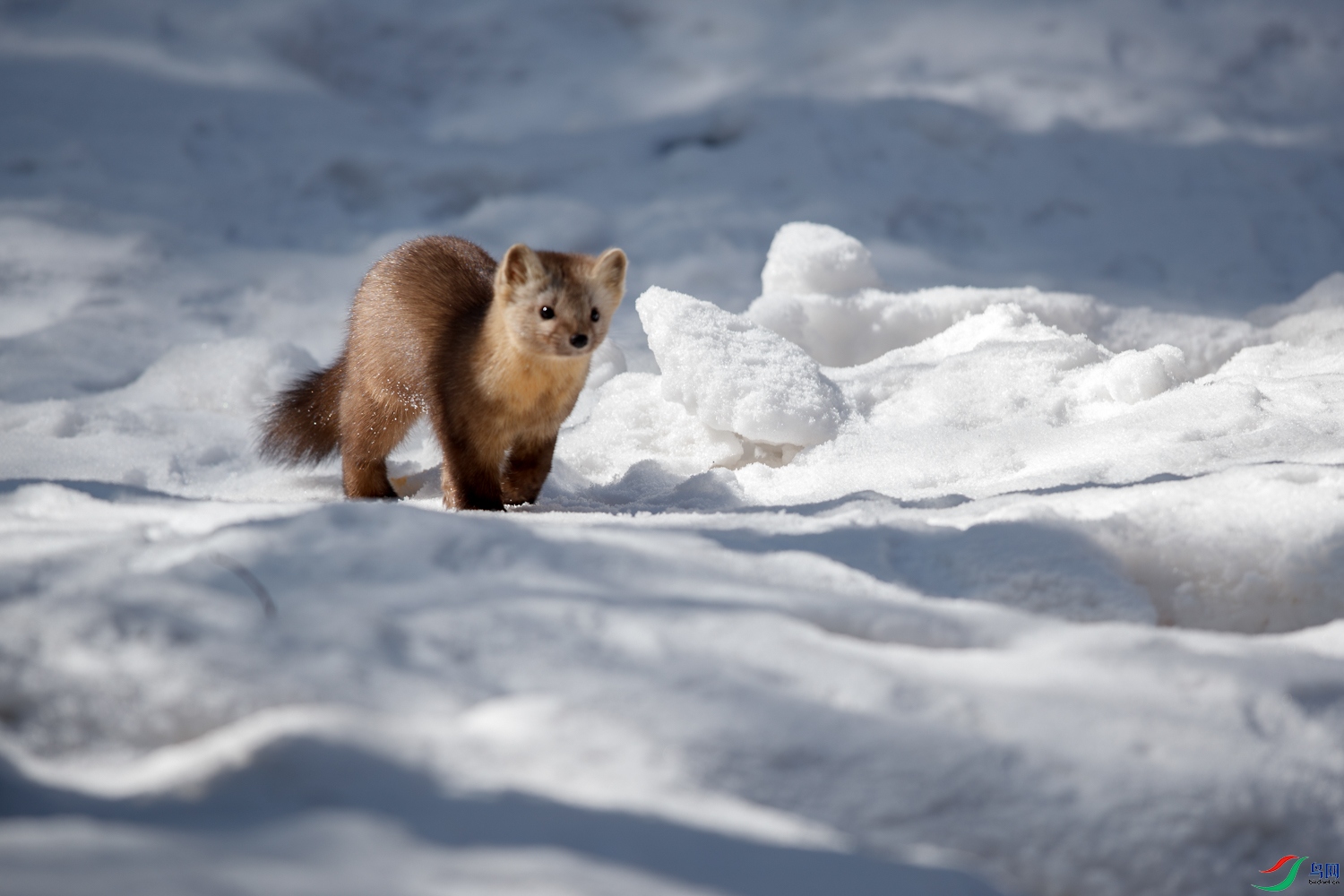 AQ9I7725 ����.jpg