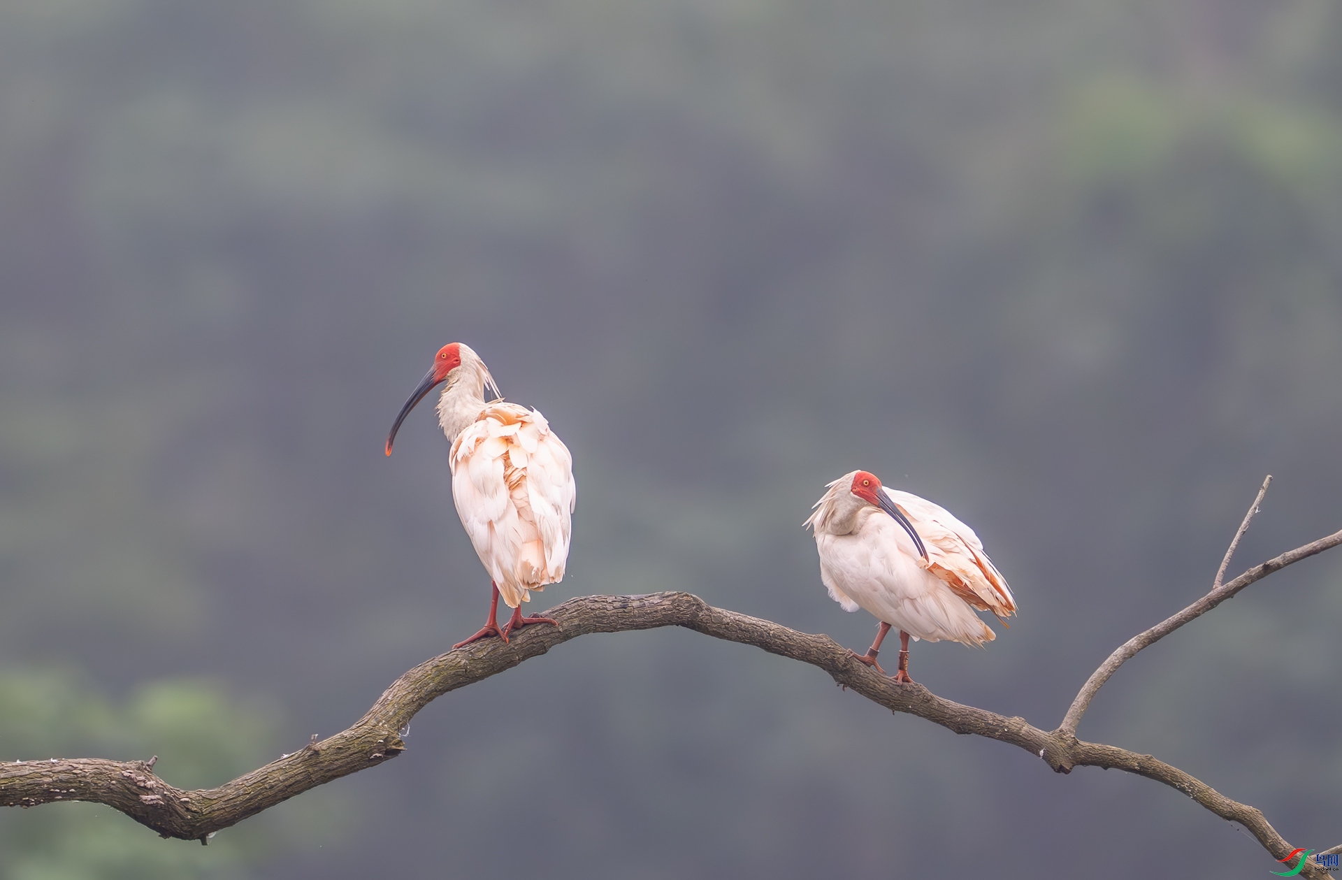 DSC_6223-1.jpg