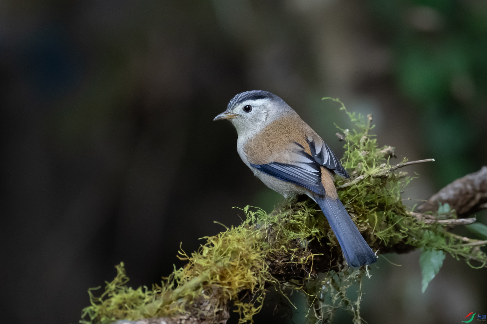 DSC_6829.jpg���϶� ��ľľ ����ϣ��.jpg