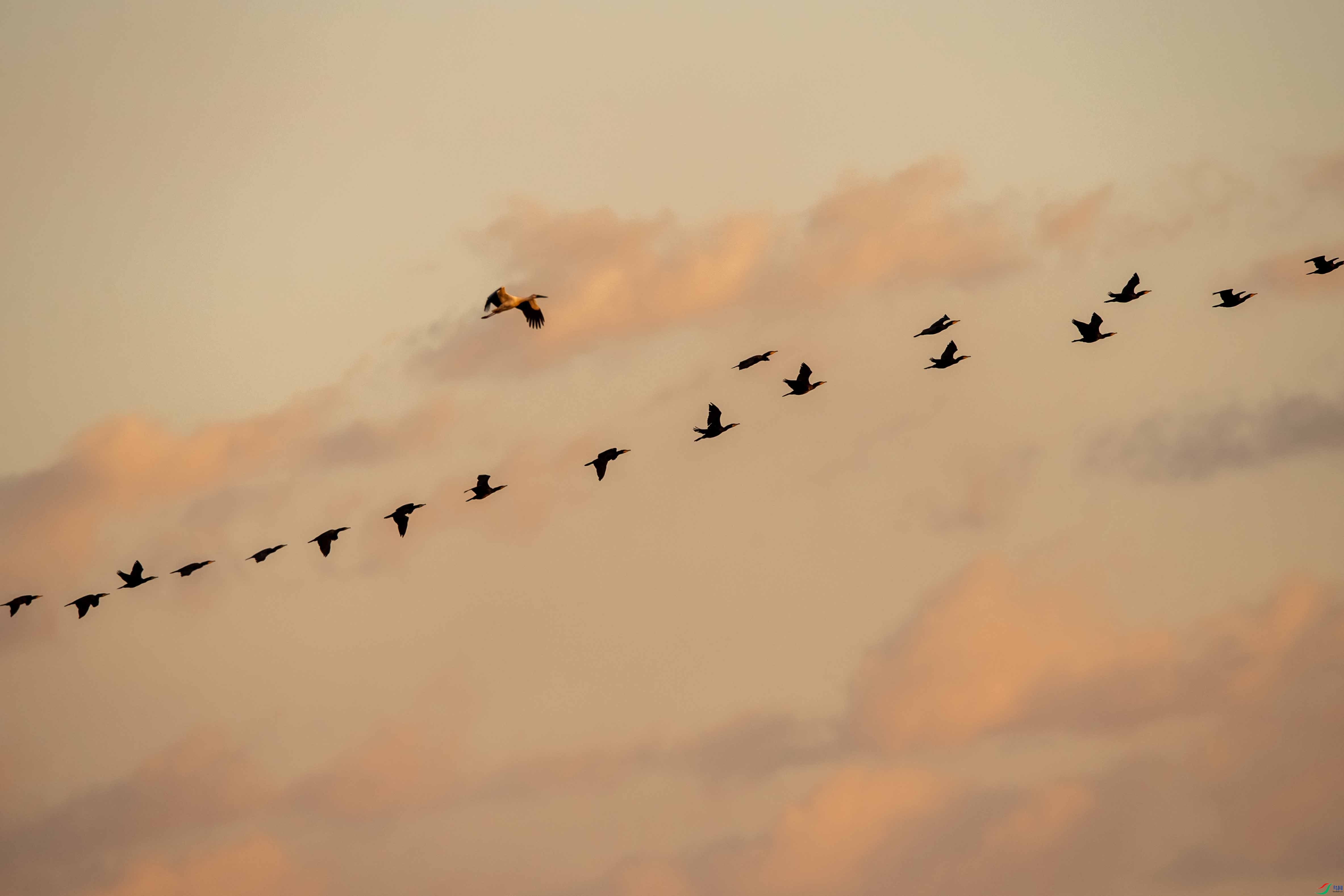 _DSC2138 ����.jpg