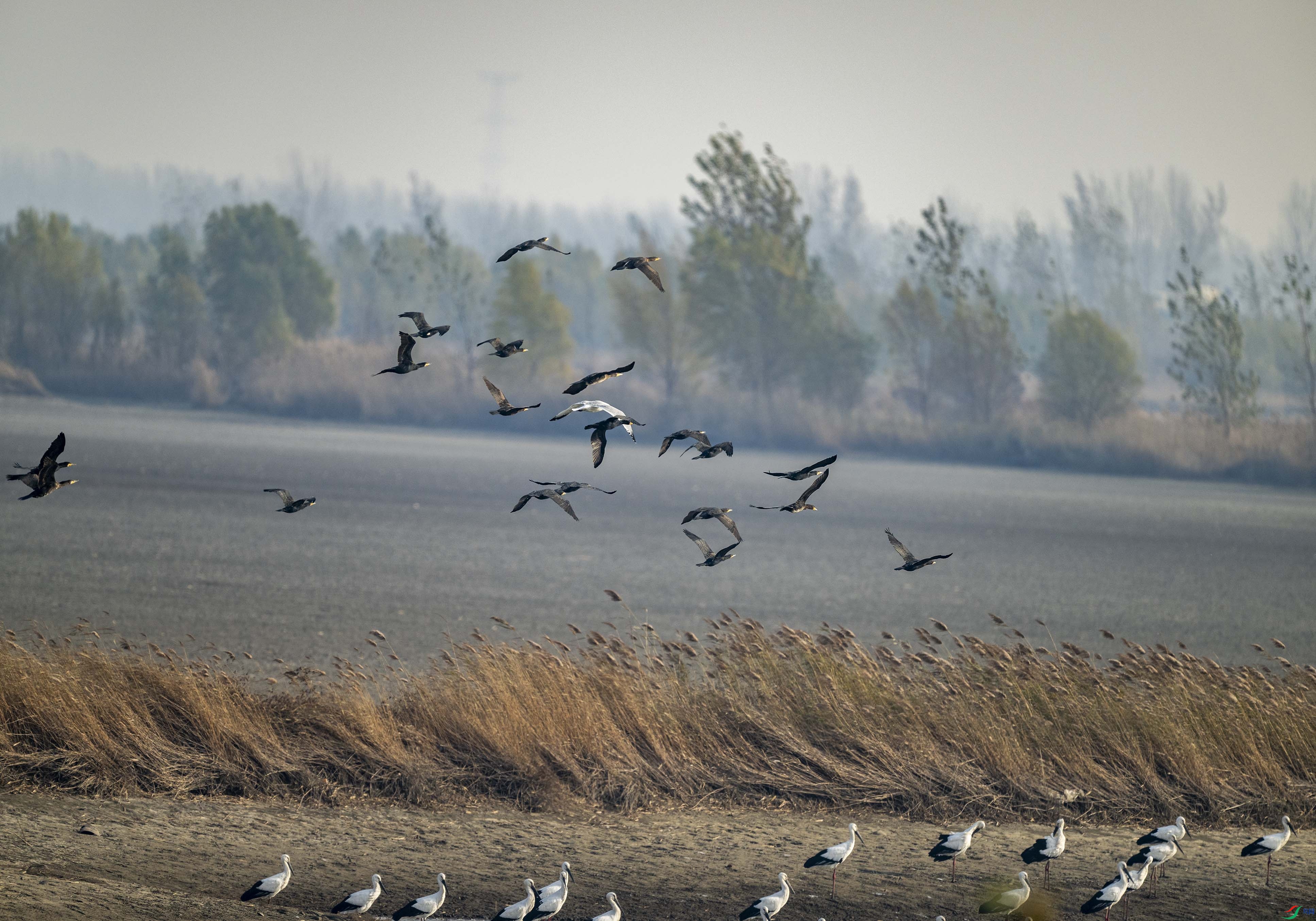 DSC_0882.jpg