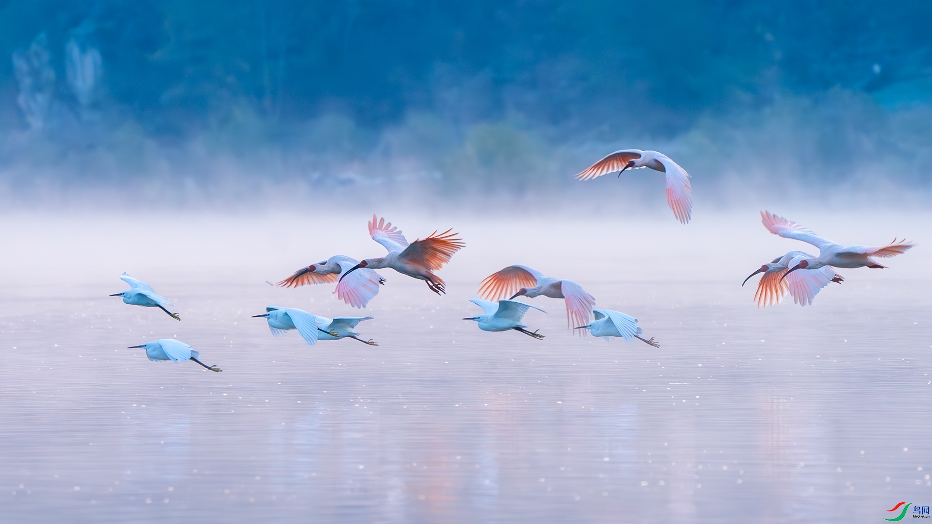 12.31����������ʦ��Ʒ  ������Ӱ  .jpg