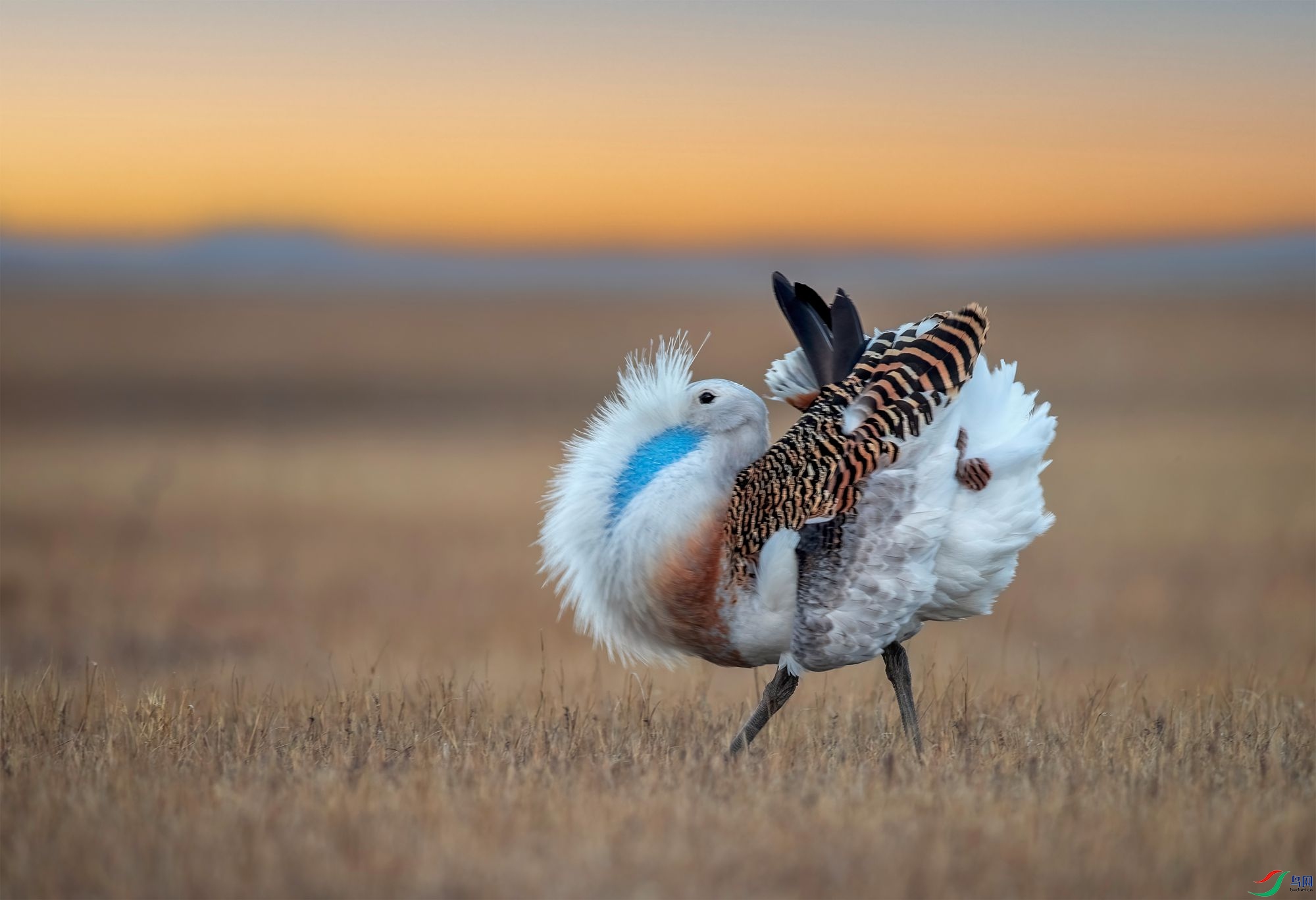 AC3I4467 ����_����.jpg