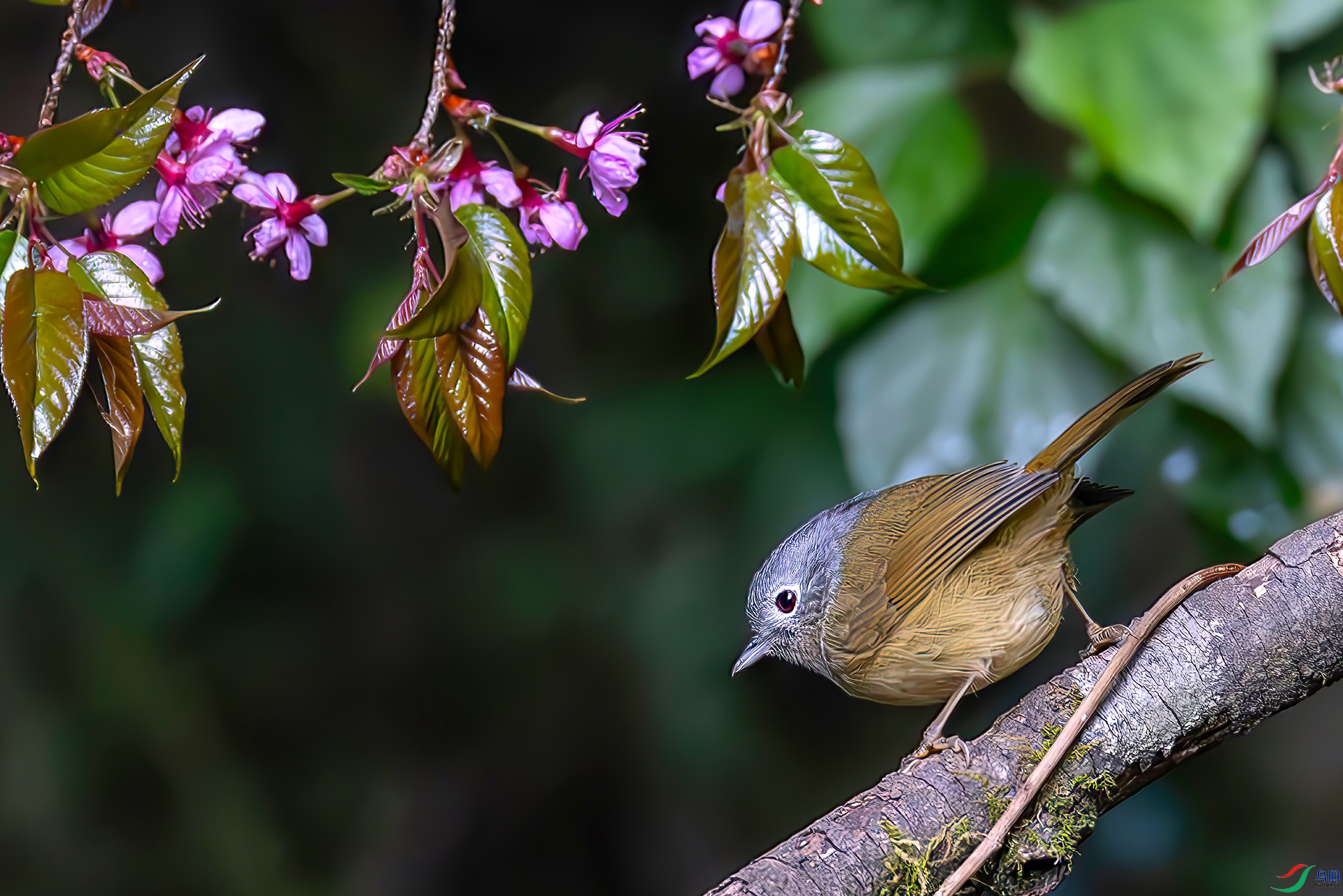 407A1362----33  .jpg