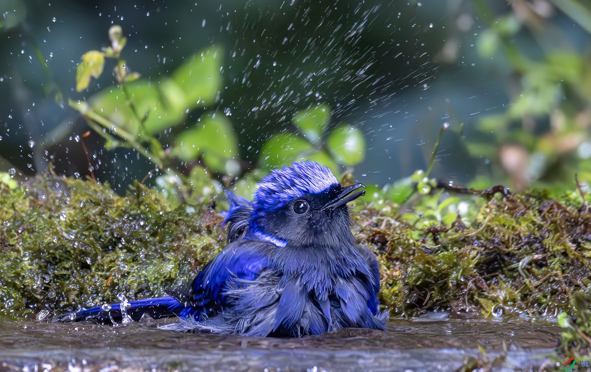 407A1558-----22  .jpg