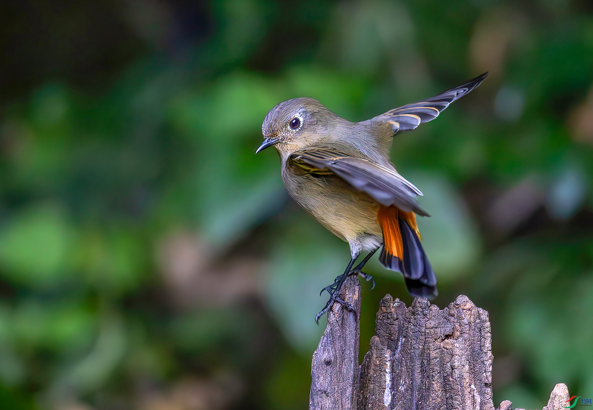 407A1744-----33  .jpg