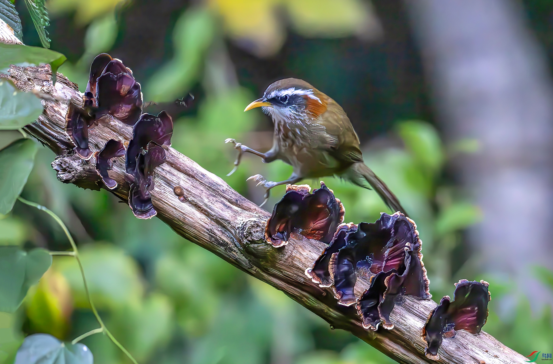 407A7691-----33  .jpg