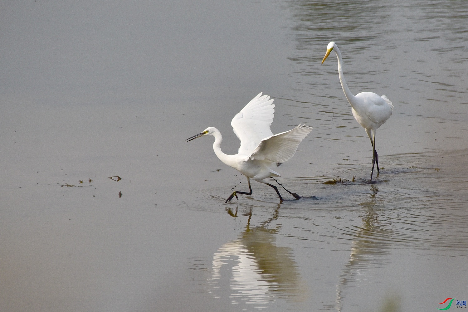 DSC_4077.JPG