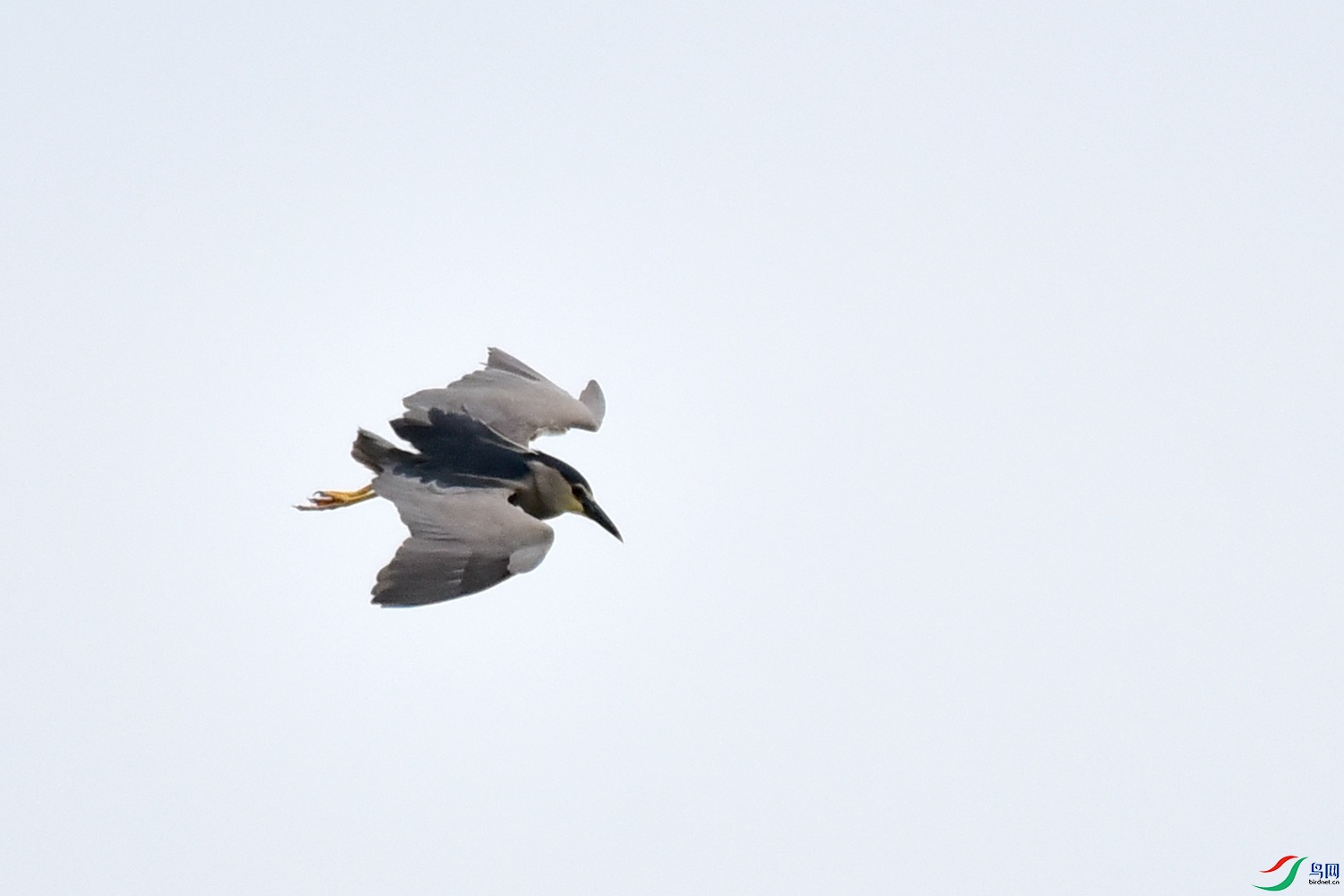 DSC_3479.JPG