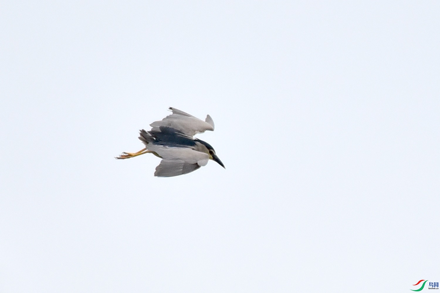 DSC_3478.JPG