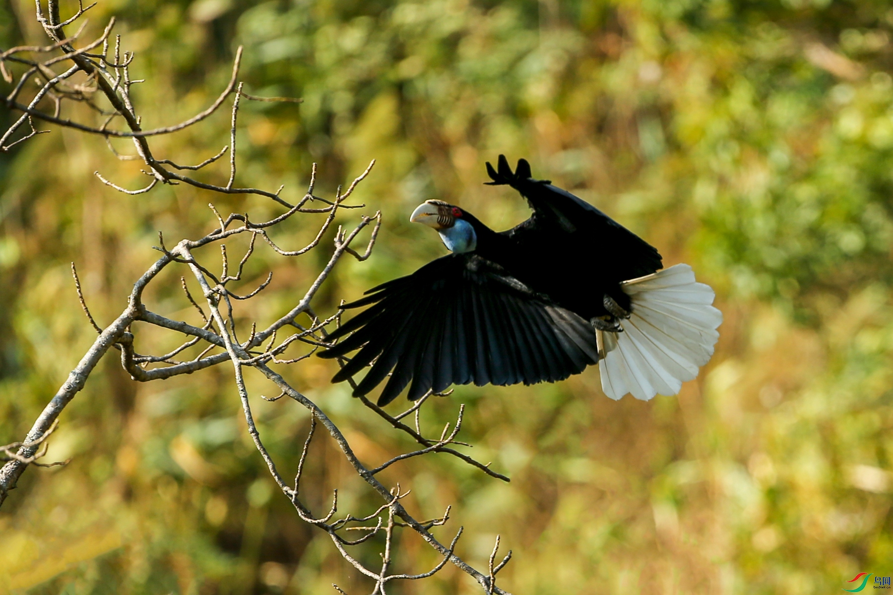 AB1I9236.JPG