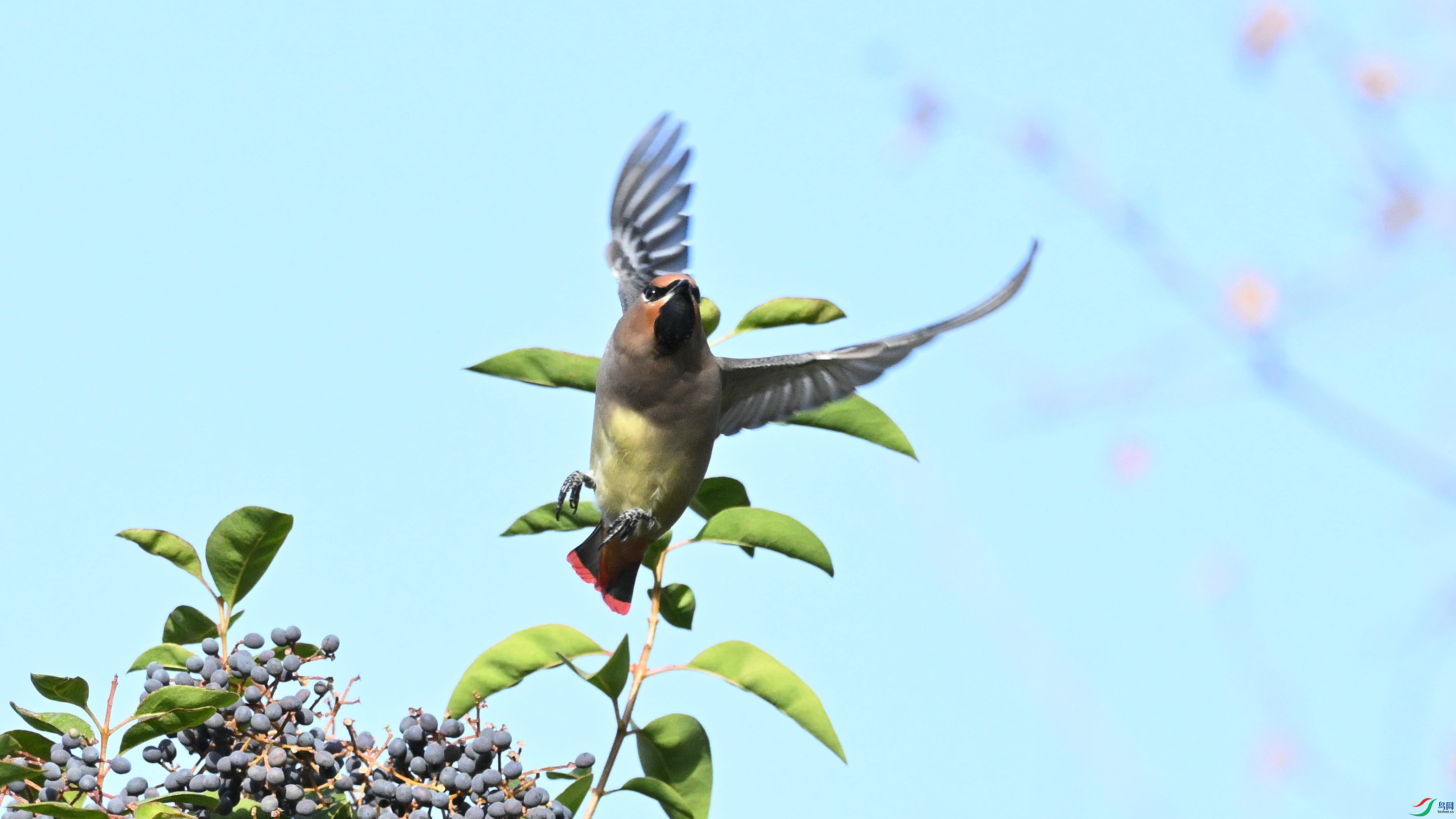 DSC_6740.JPG