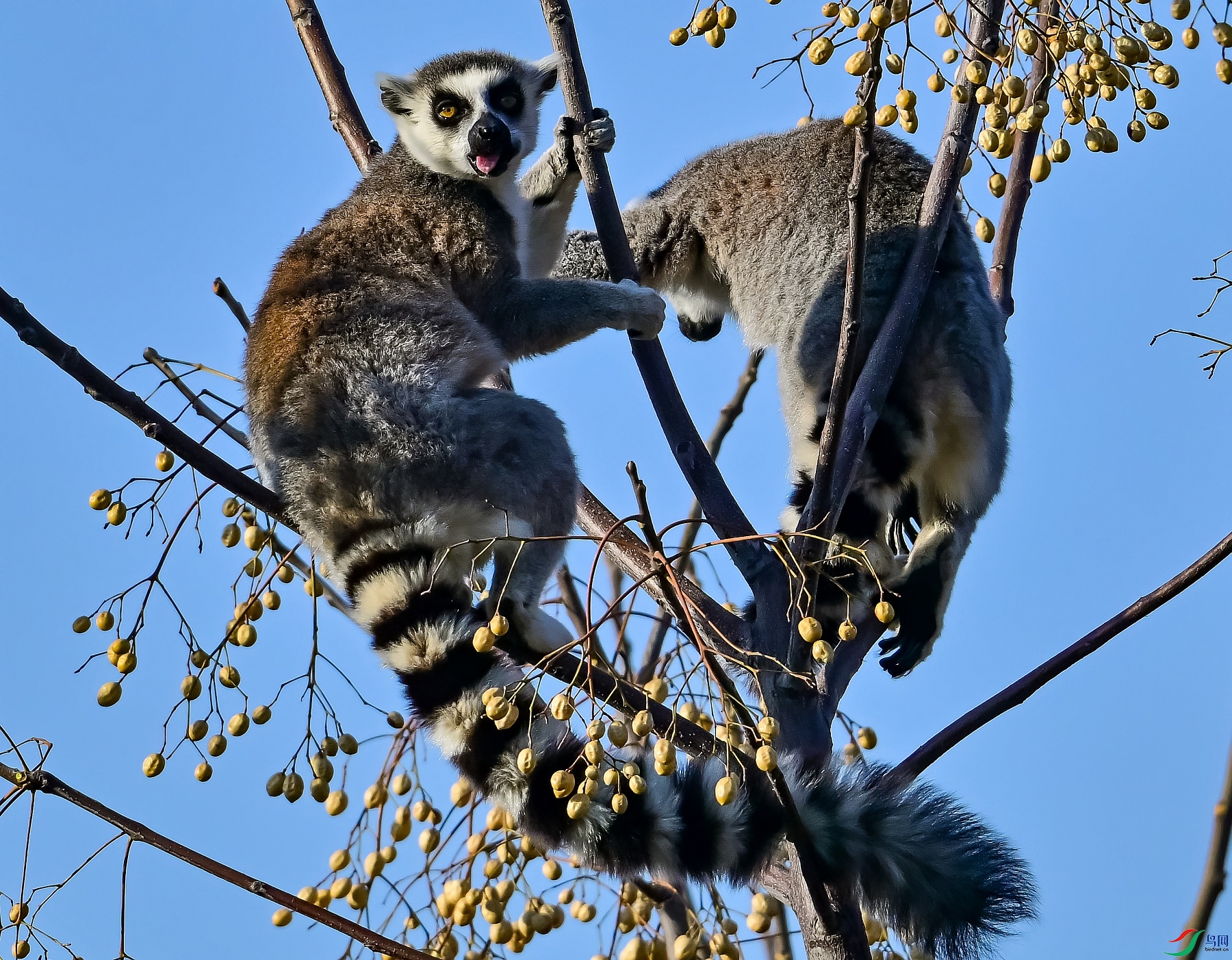 DSC_2635����.jpg