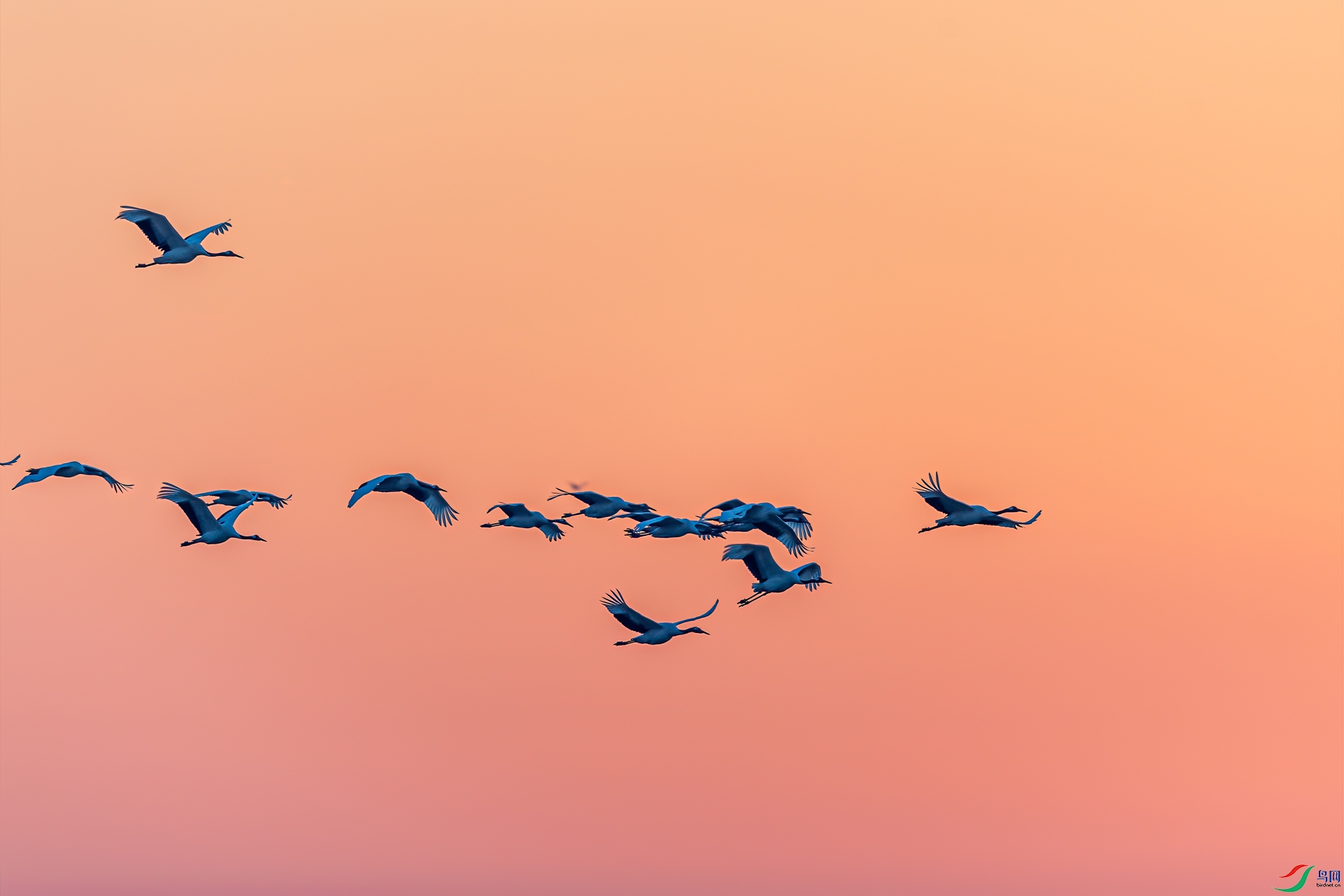 _DSC0146-11.jpg