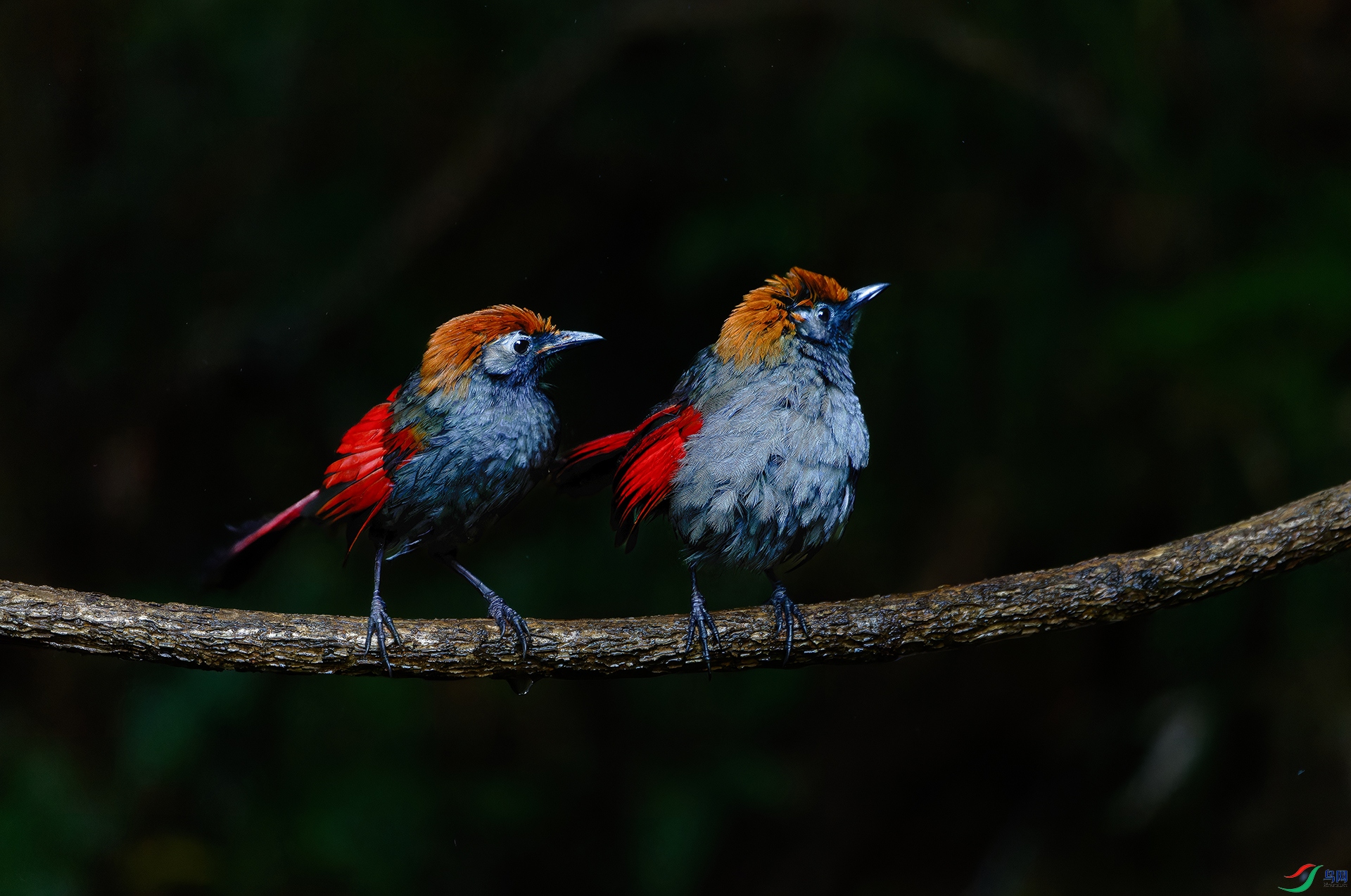 �������� ��ȸ��ϲ.jpg