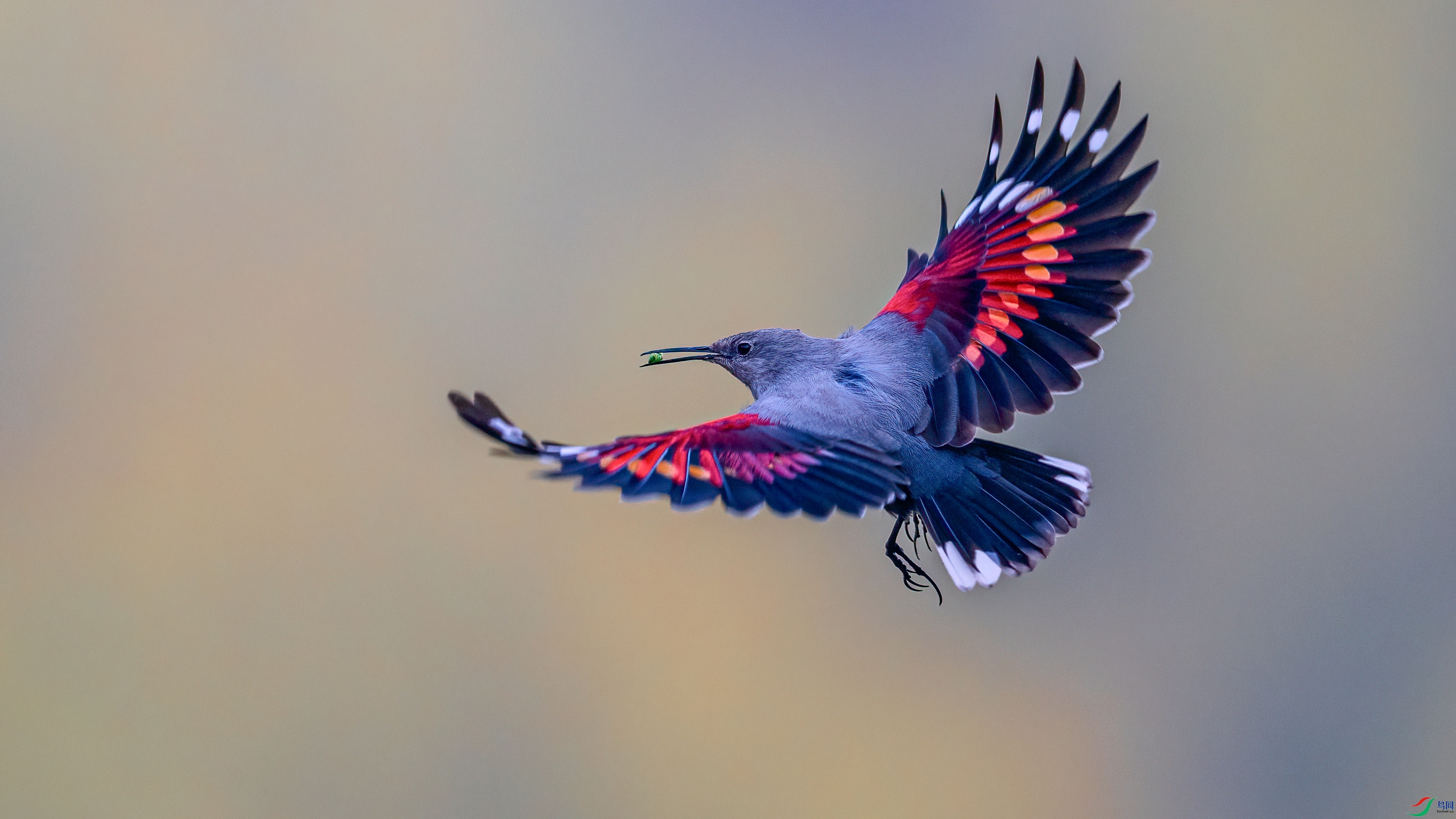 ��Ƭ_DSC3549 ����.jpg