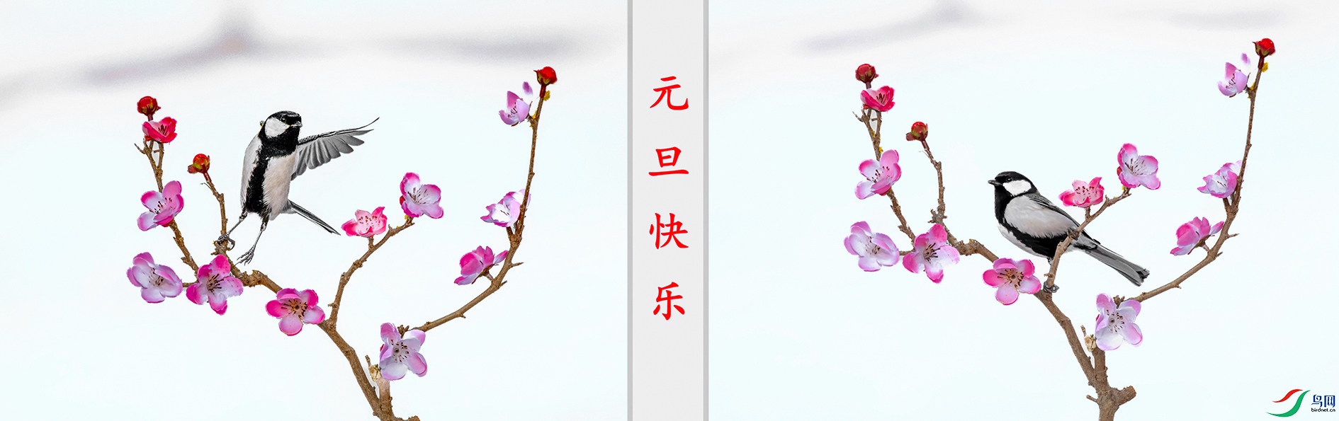 DSC_6346_��ͼ�� ���� 2.jpg