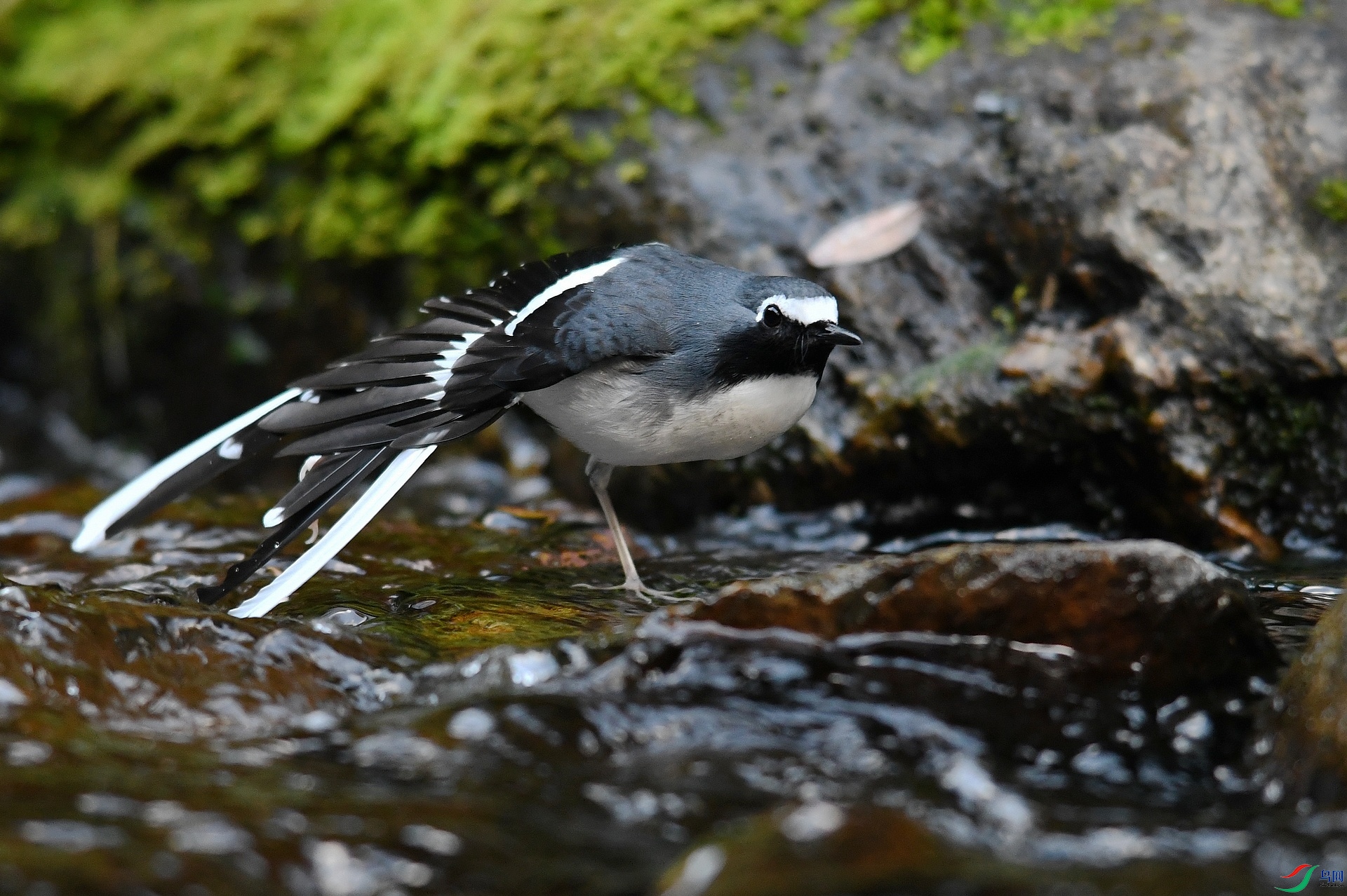 DSC_1393.jpg
