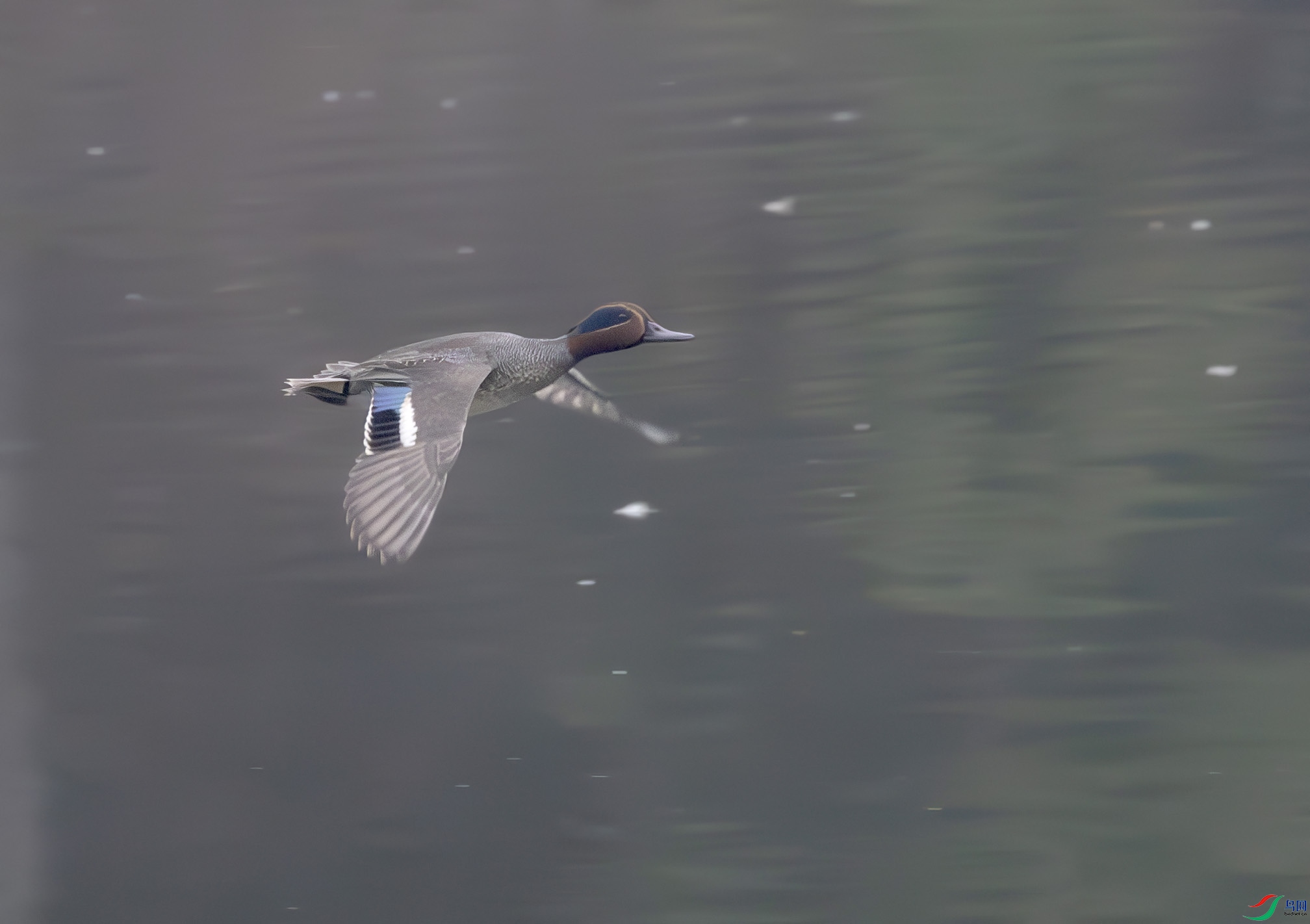 G47A8502-����ǿ-NR ����.jpg