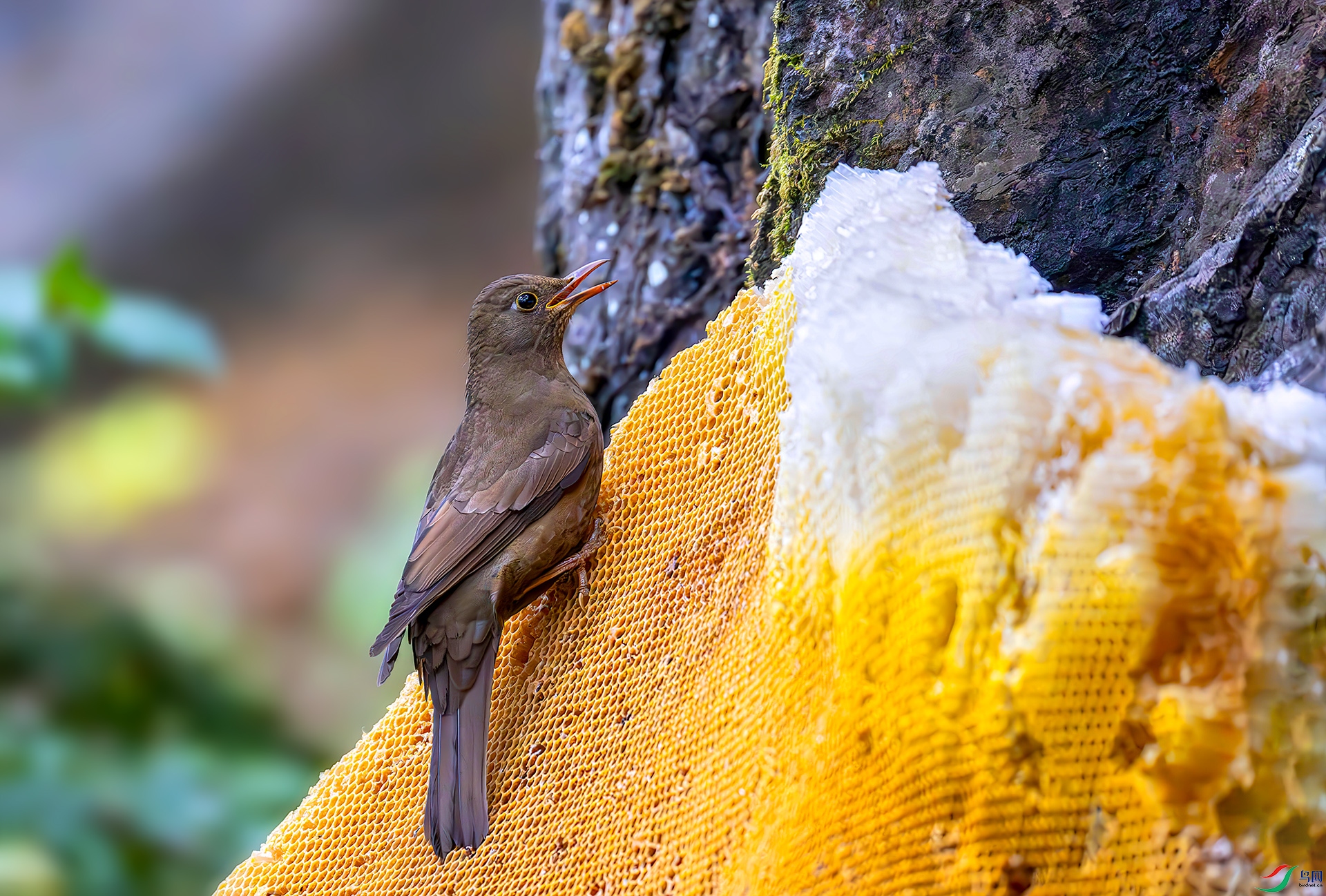 407A5725-----33  .jpg