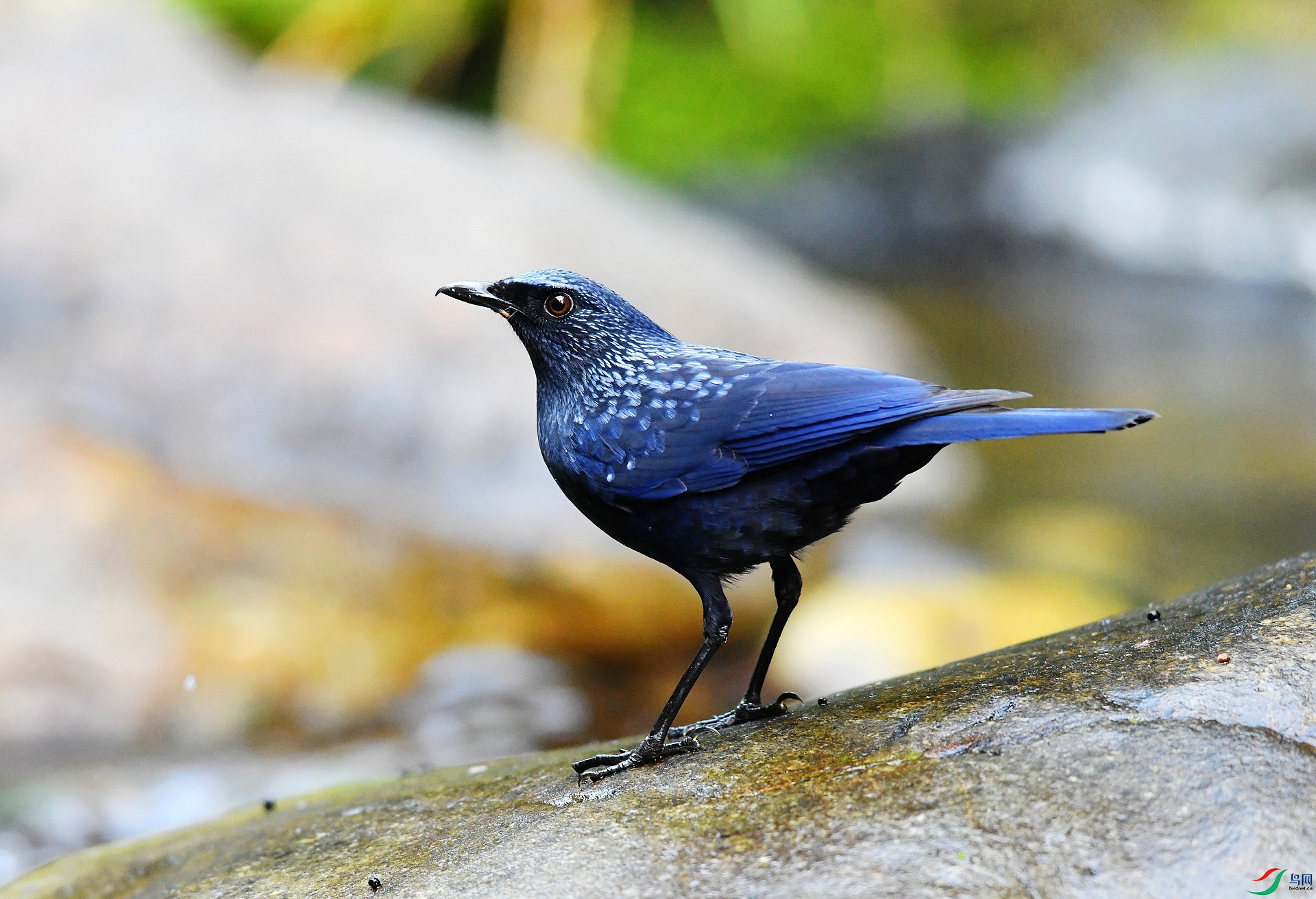 DSC_2770.jpg