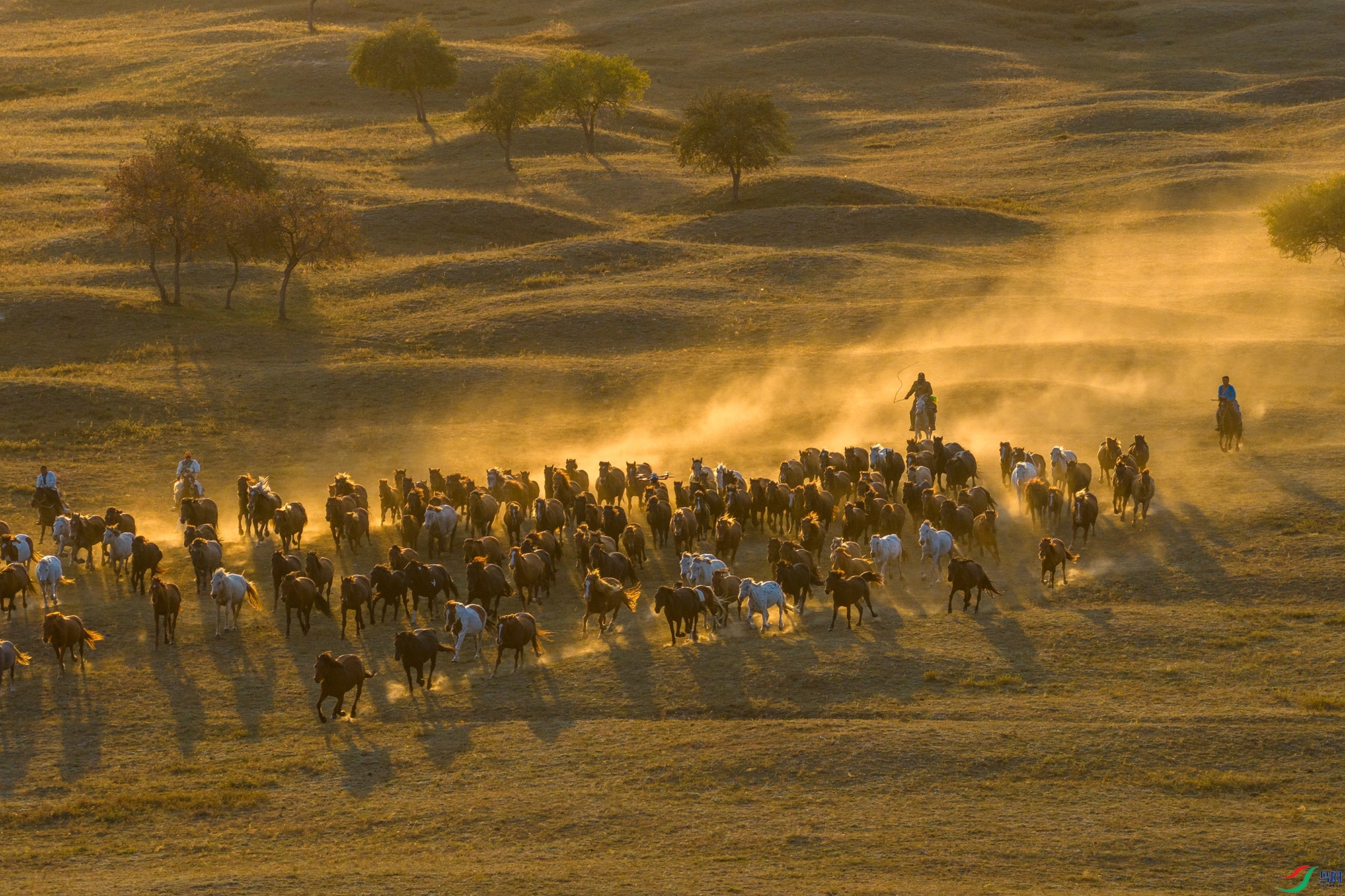 DJI_20250922173827_0309_D ����11.jpg