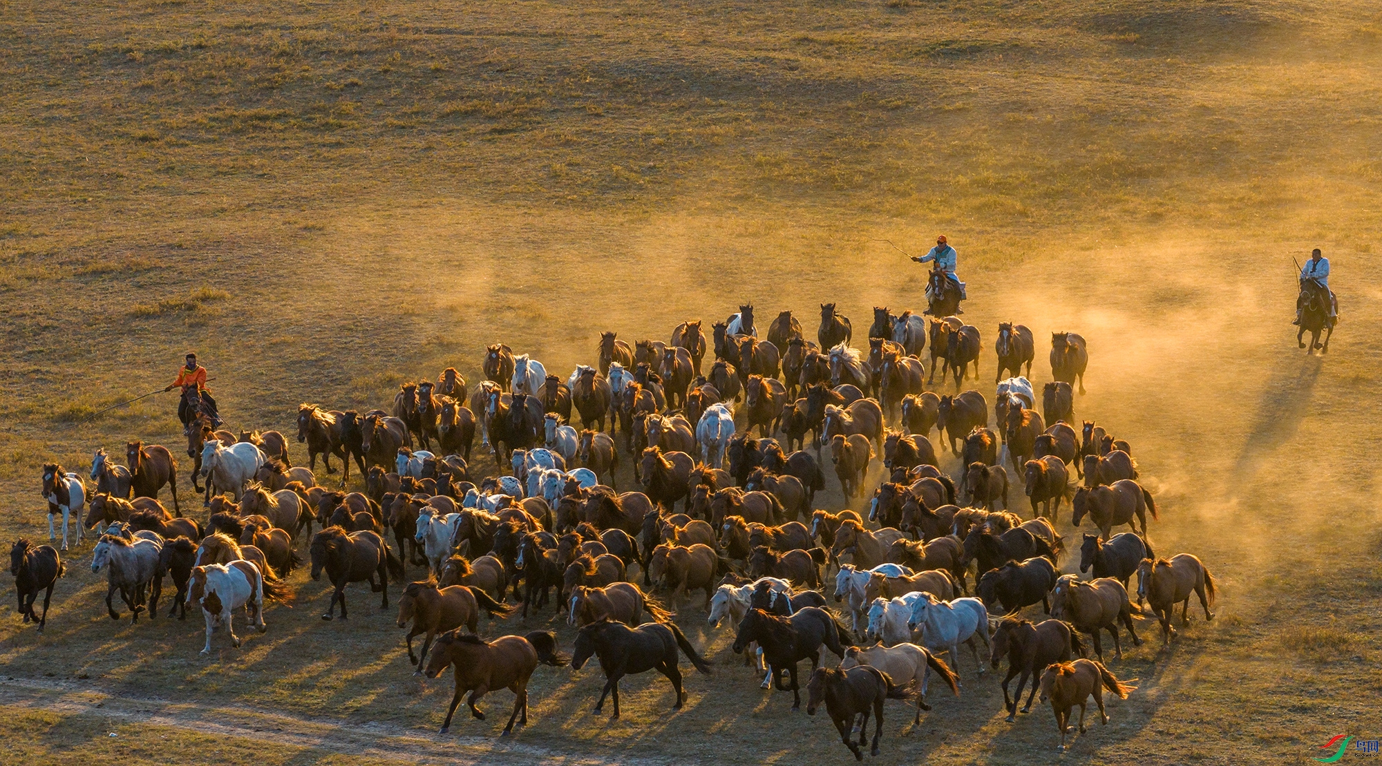 DJI_20250922174231_0340_D ����11.jpg