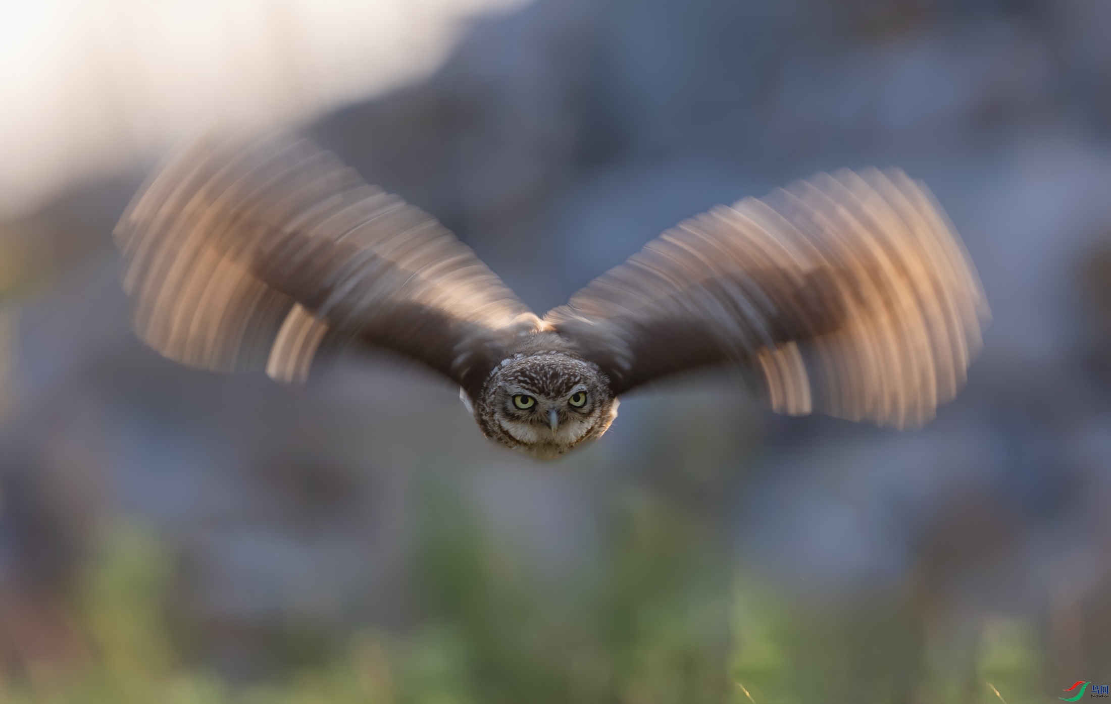 ���Ƹ�С�^