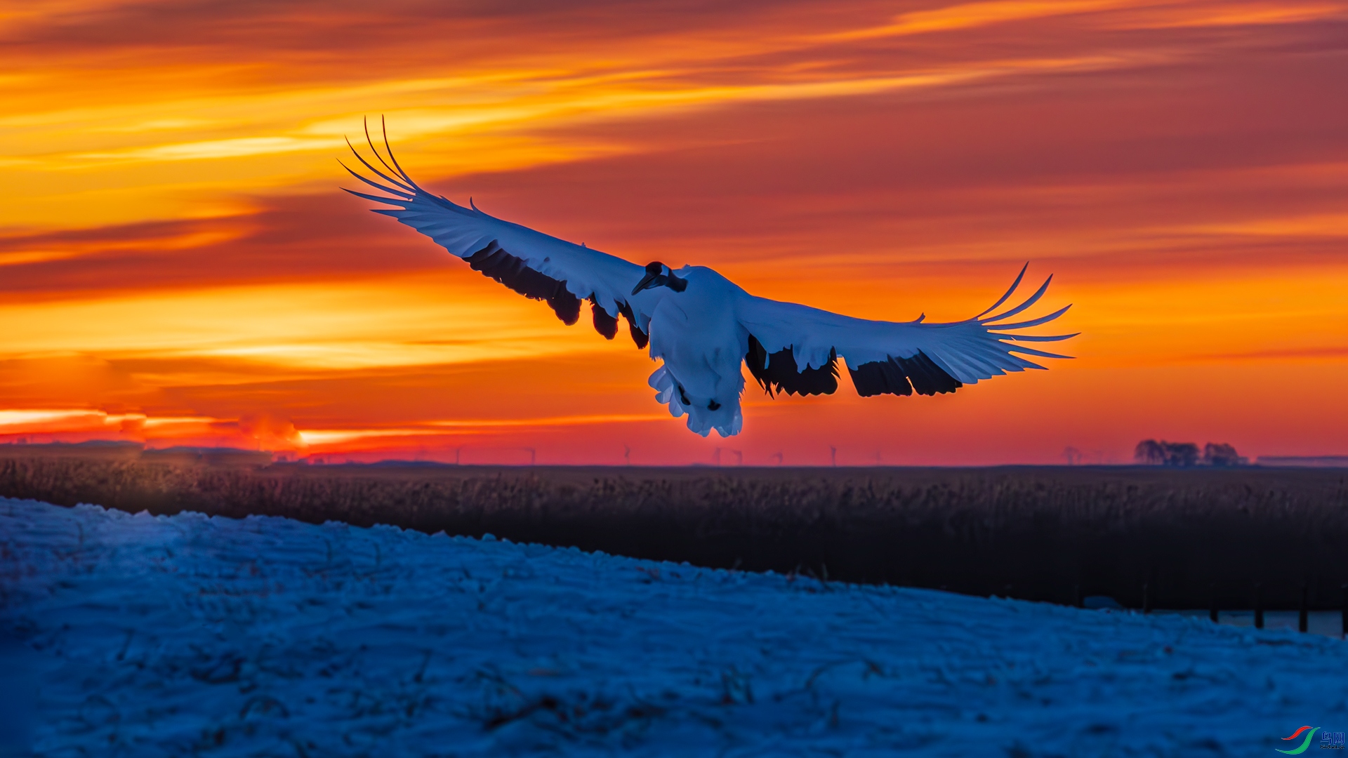 1A3A1216-����ǿ-NR-1.jpg