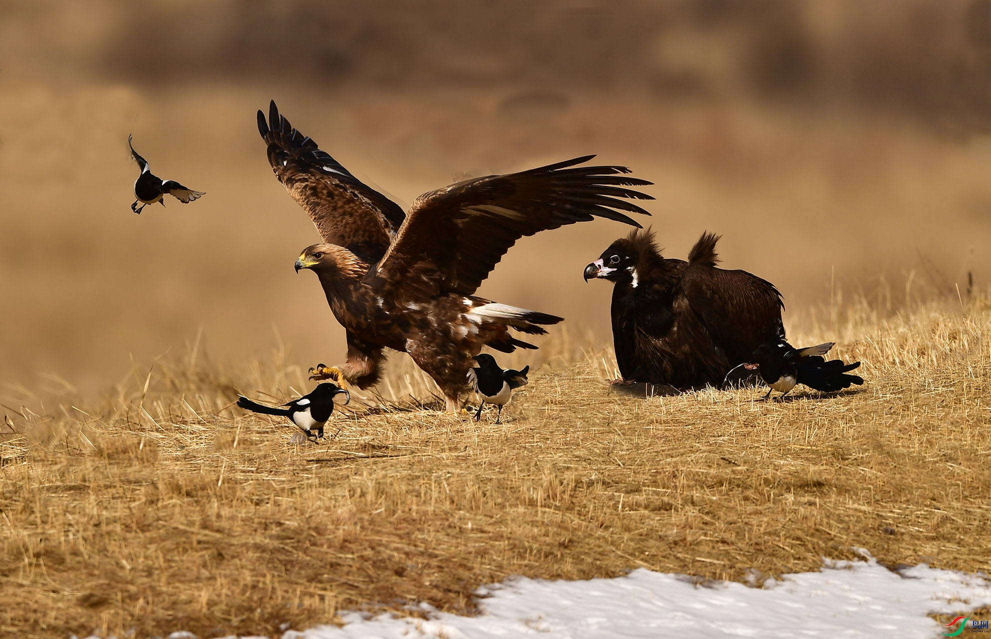 �����ˡ�