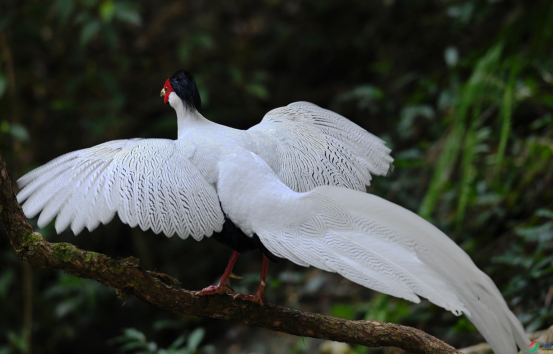 DSC_3533.jpg