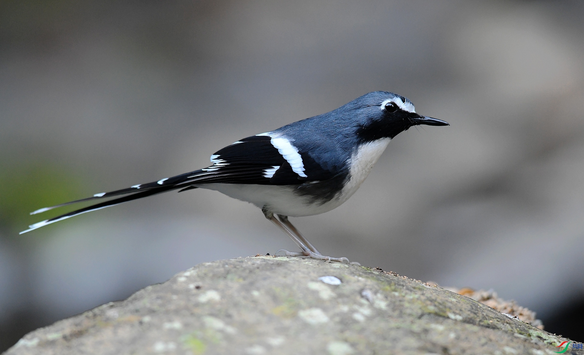 DSC_2903.jpg