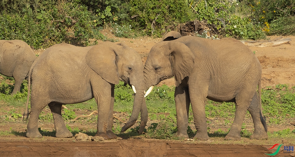 ���޴��� (12).jpg