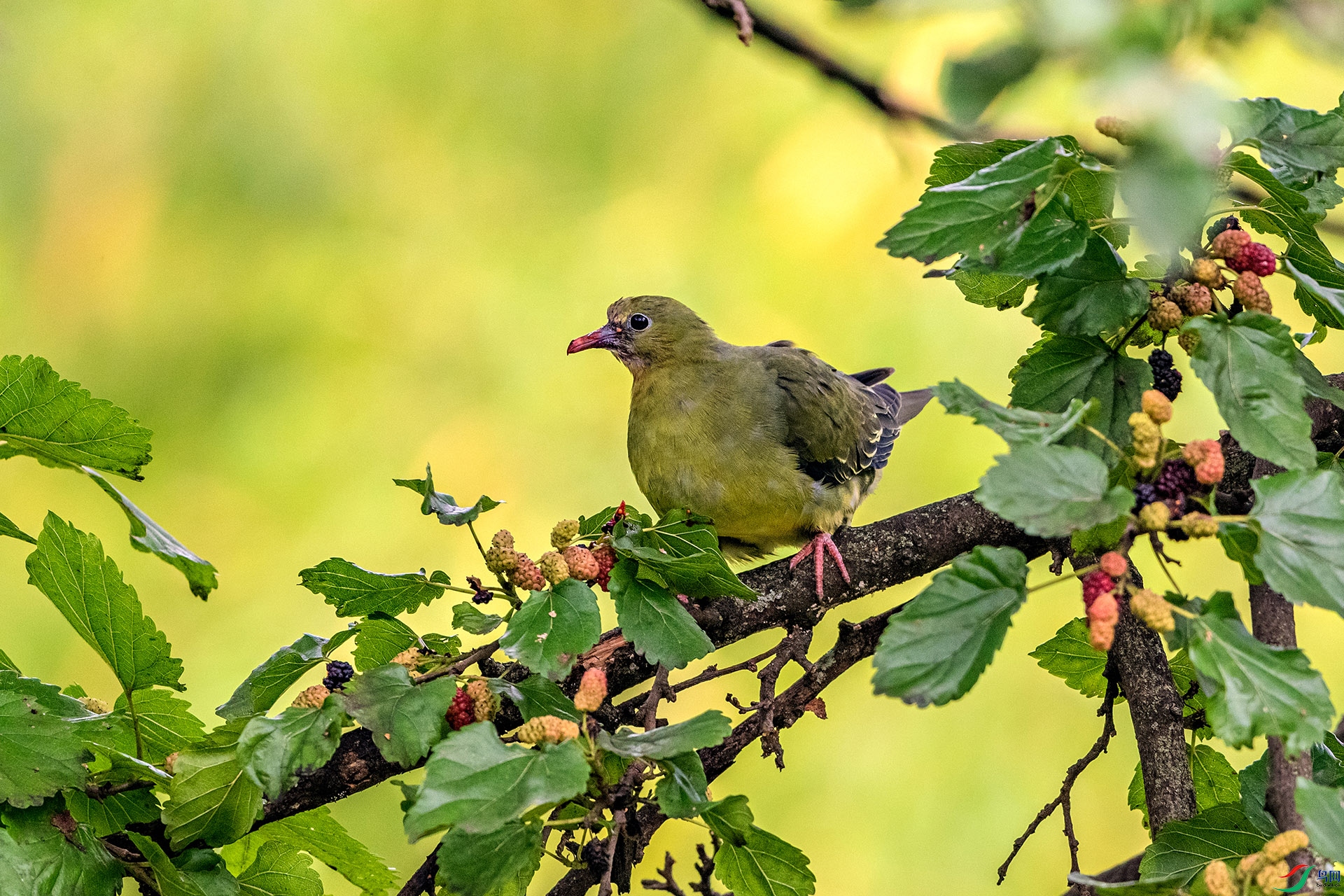 _AUU7068 Шβ���(25.7.8).jpg