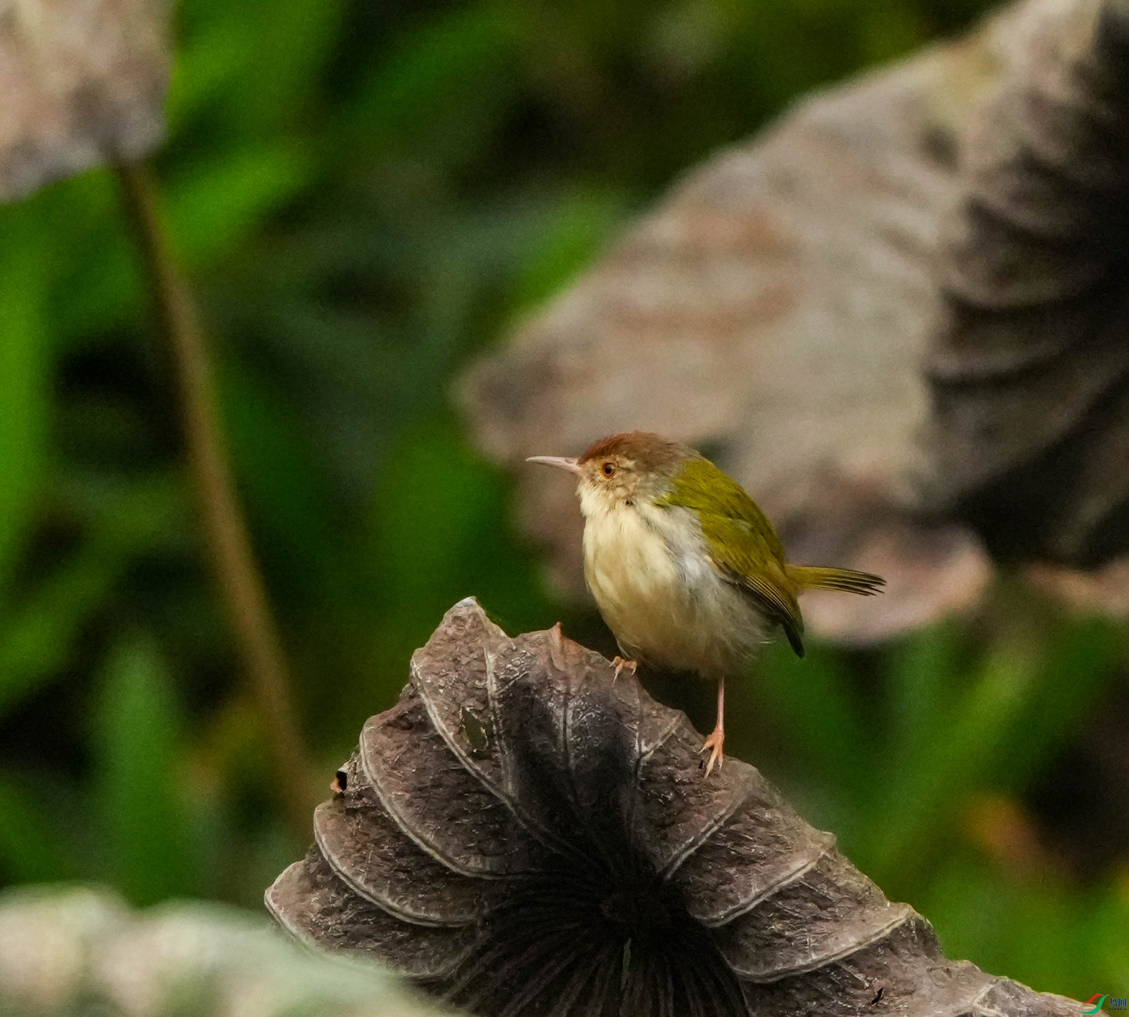 DSC05105.jpg