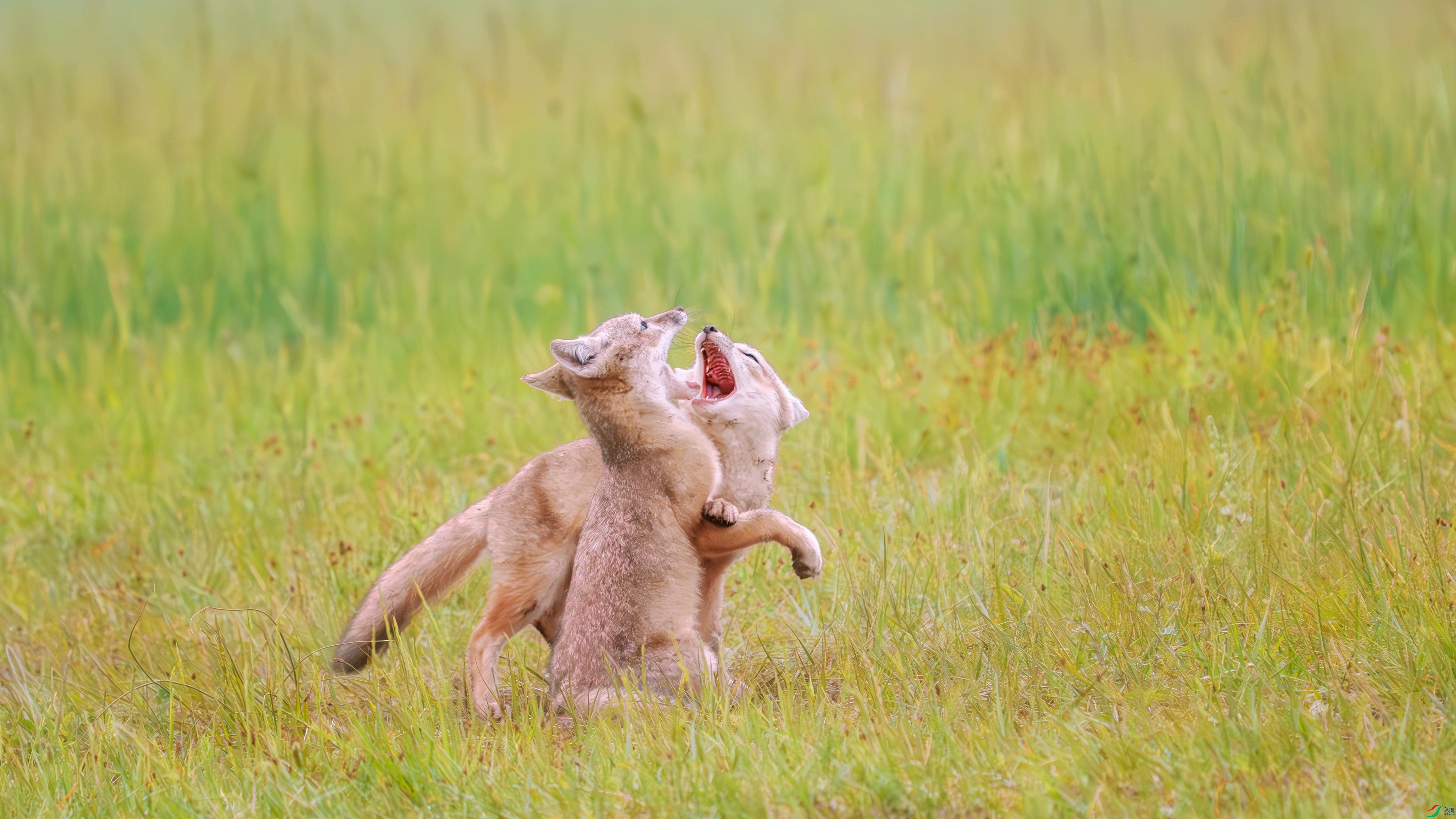 _DSC9457 ���� 2_����.jpg