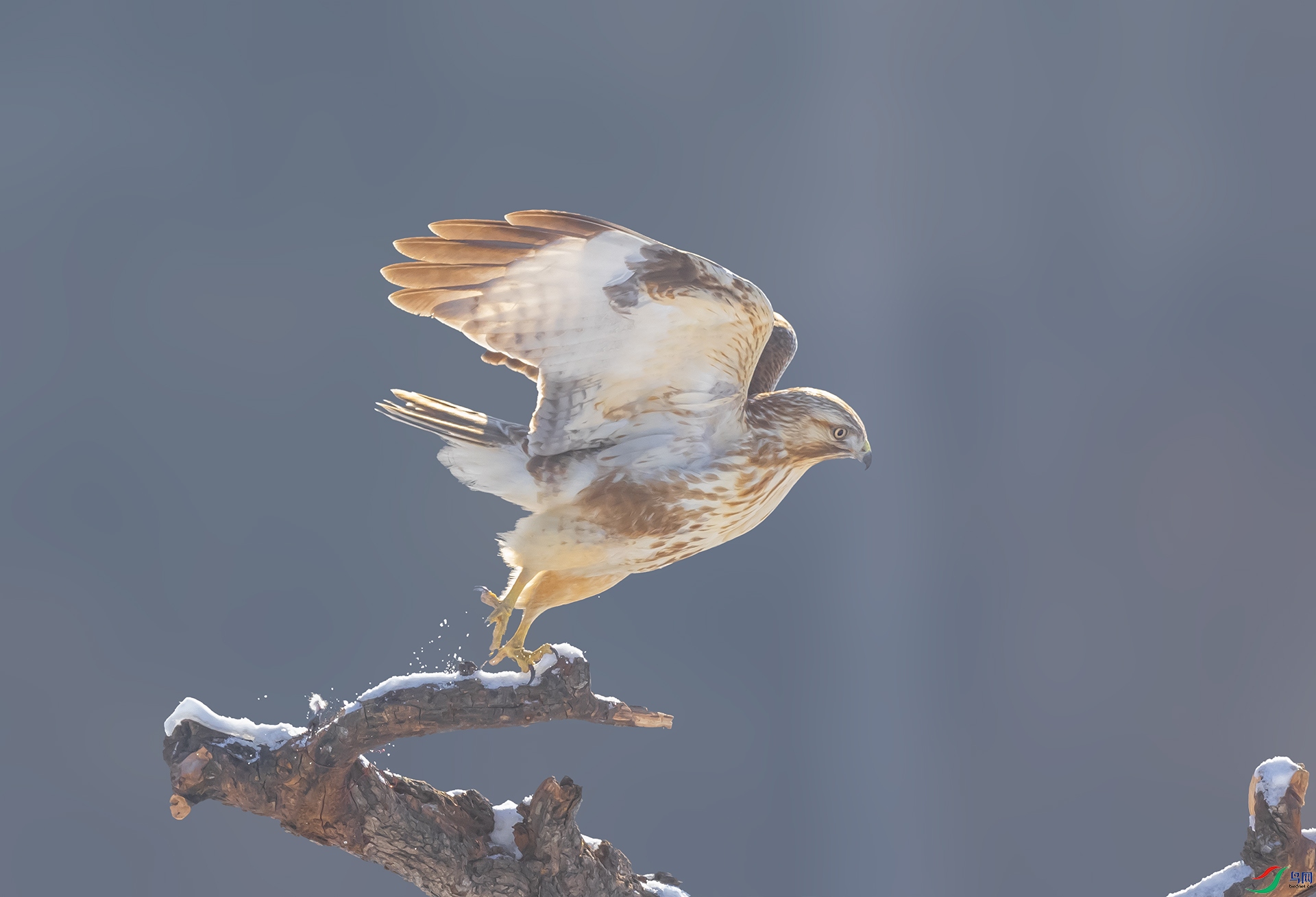 019A6861 ����123.jpg