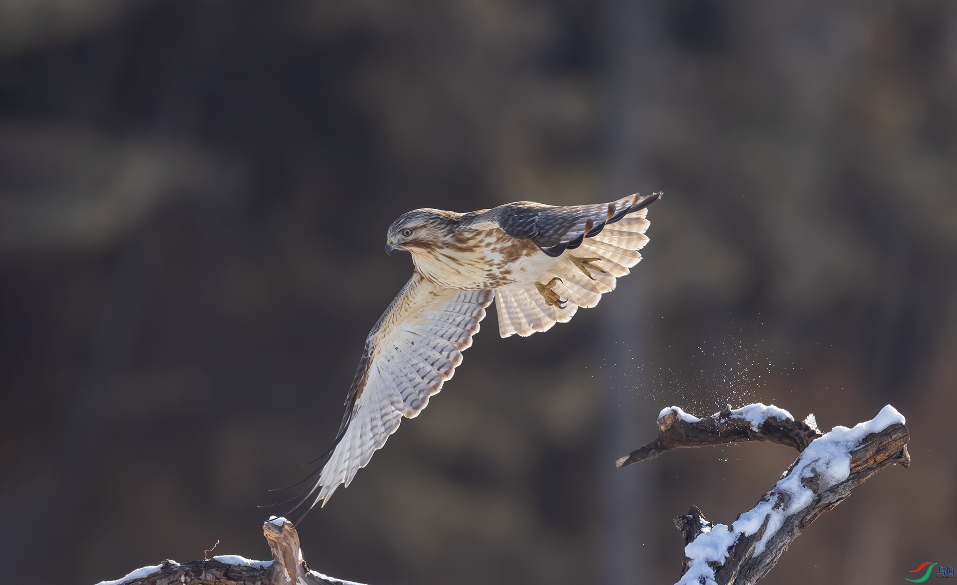 019A7649 ����2.jpg