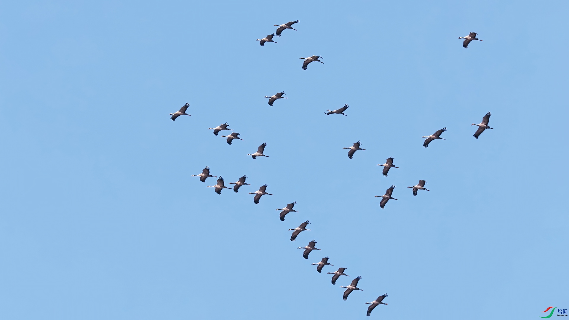 ��֡ 2026-01-01 140943_1.1.jpg