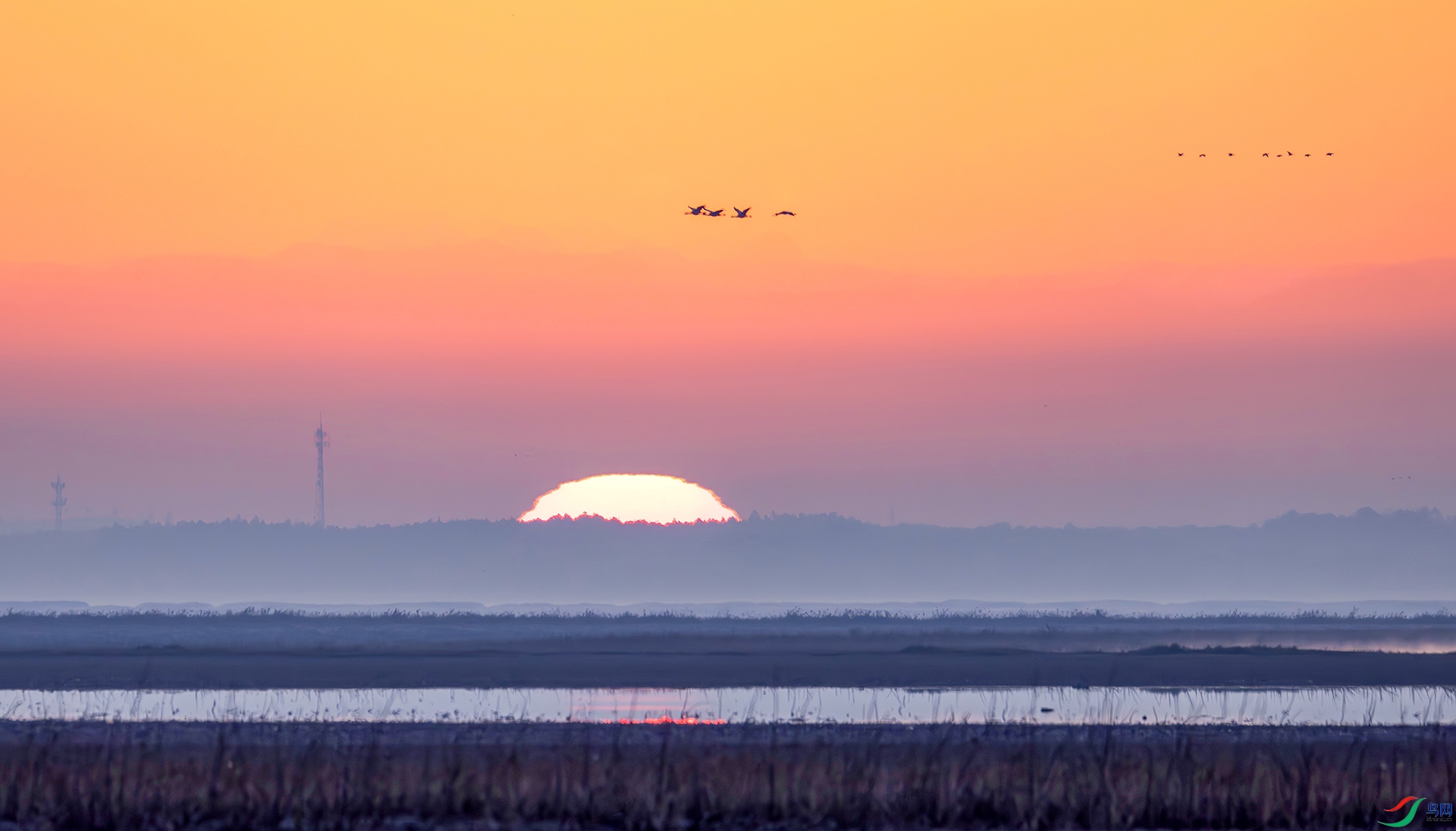 407A4473------22  .jpg