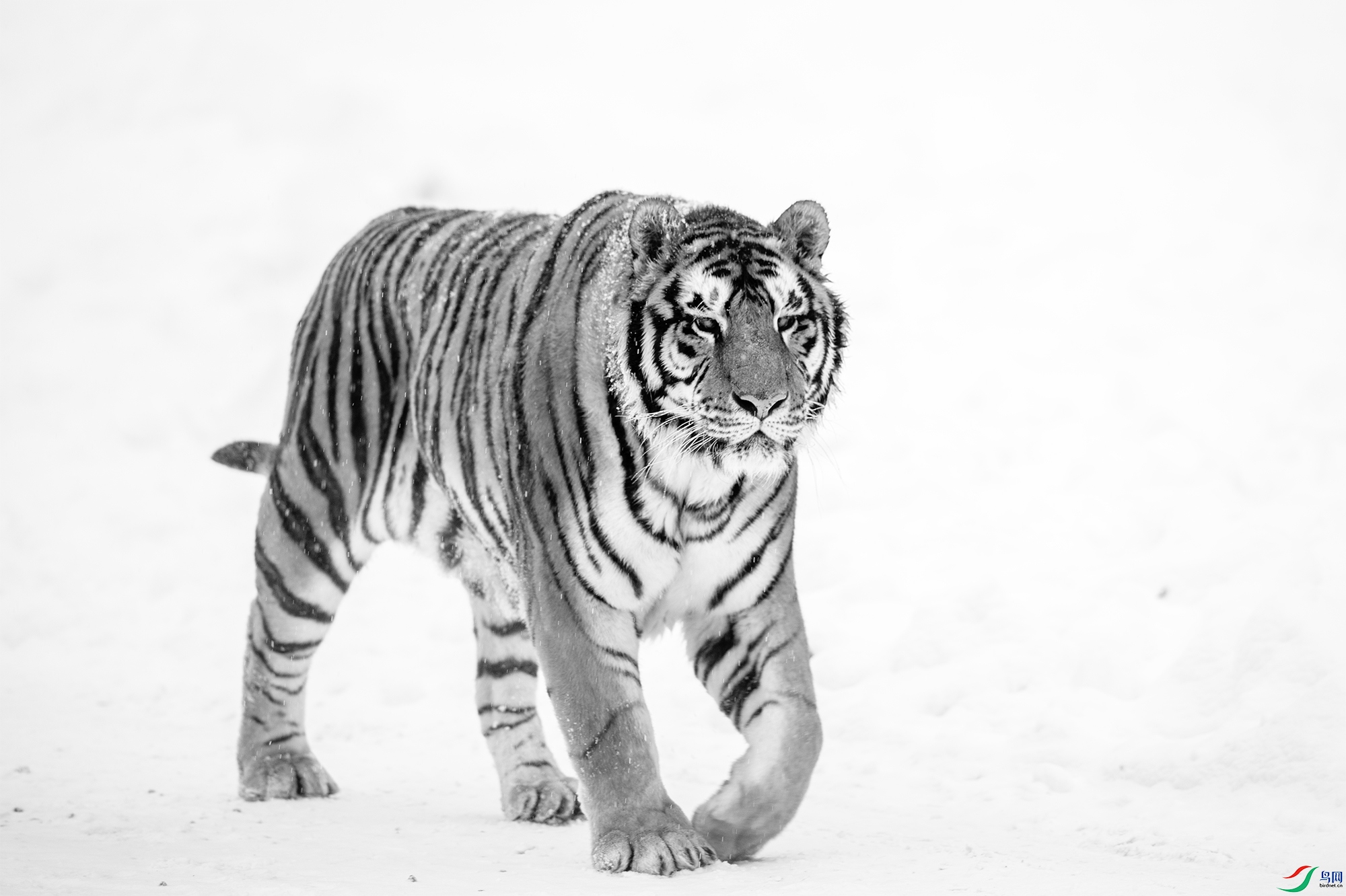 AC3I9427 ����.jpg