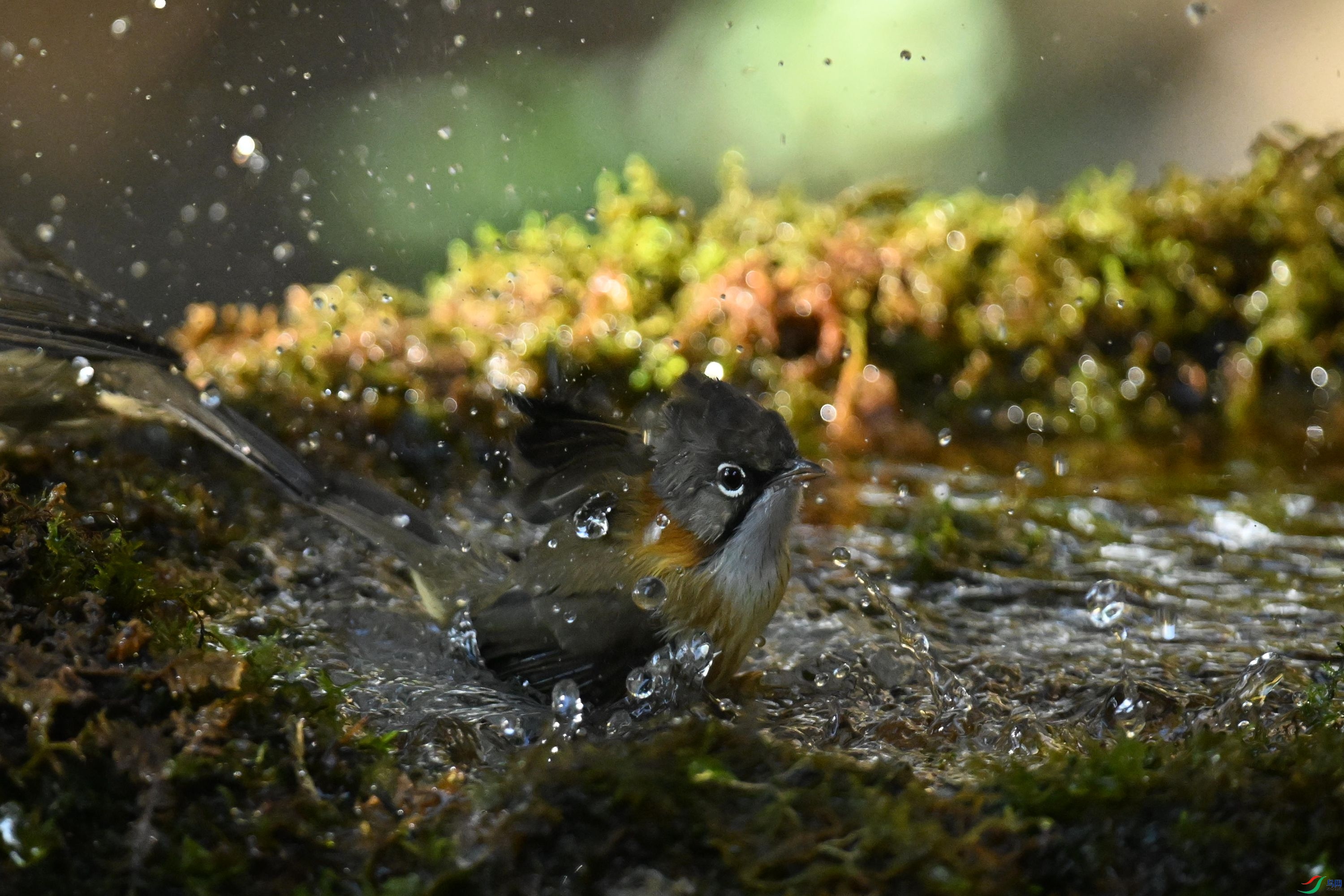 ���� (3).jpg