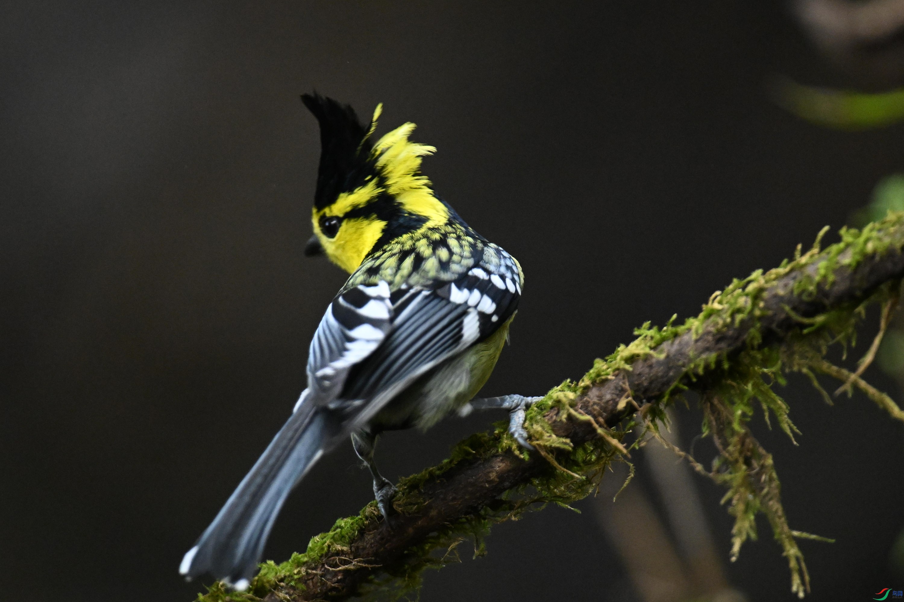 ���� (19).jpg