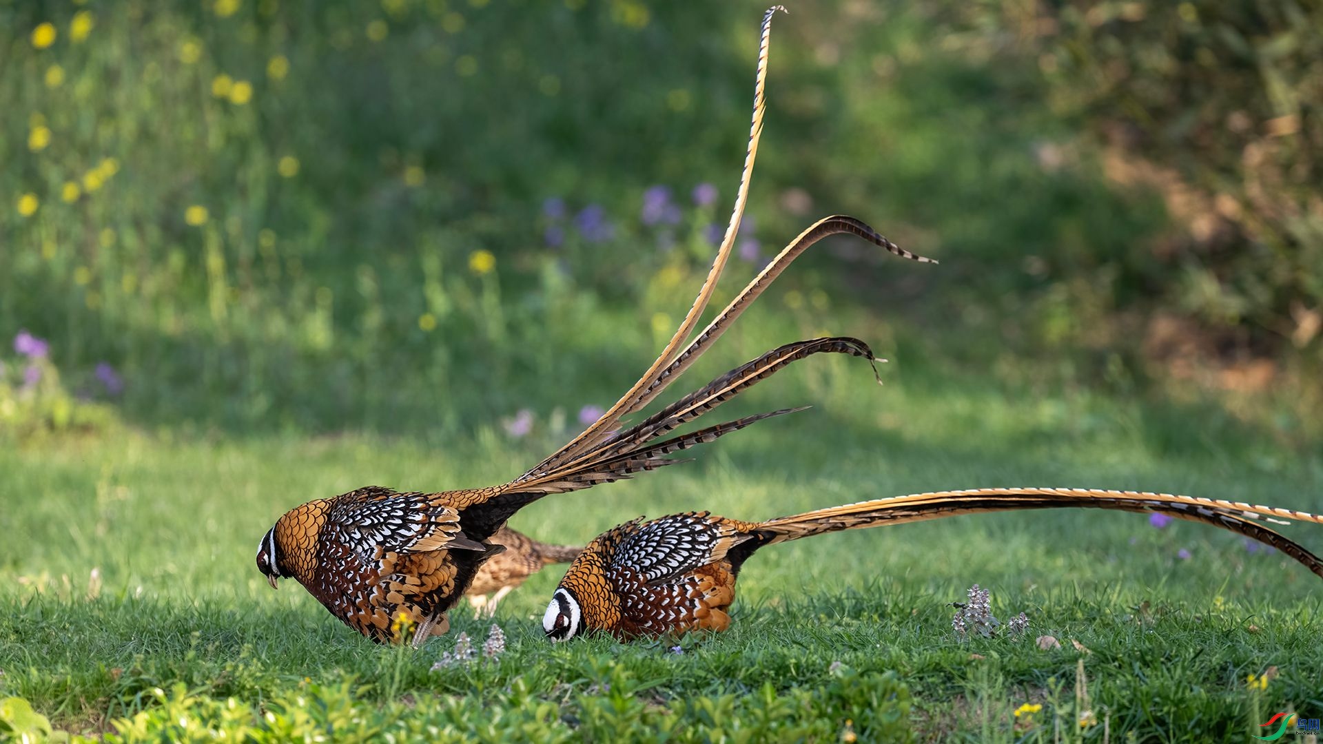 _DSC5032 ����.jpg