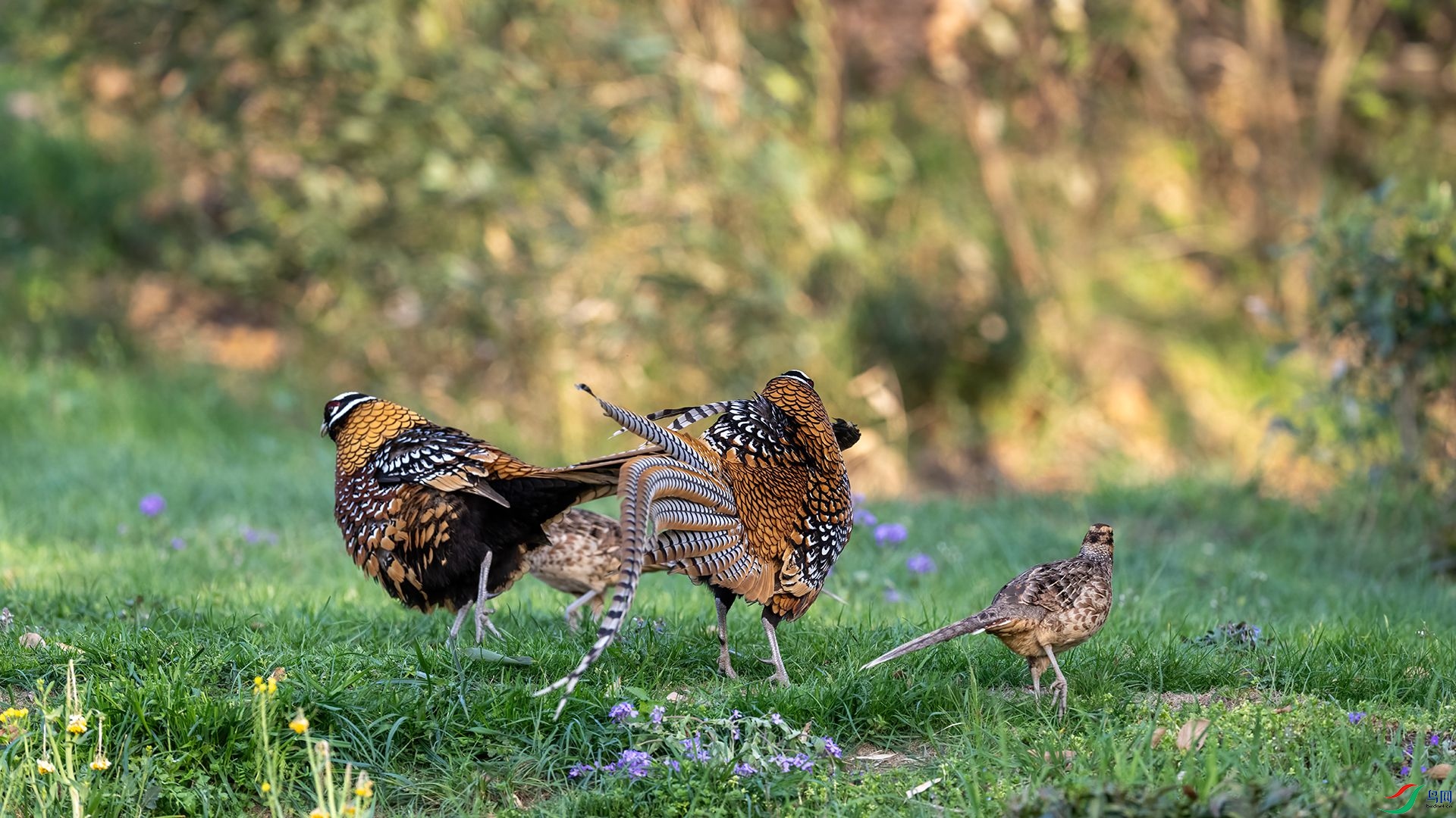 _DSC5541 ����.jpg